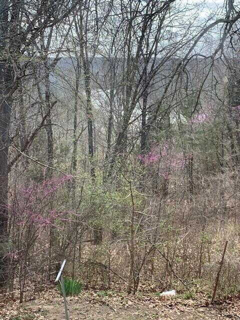 115 Shady Maple Road Property Photo 37