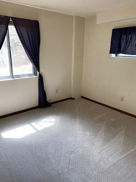 115 Shady Maple Road Property Photo 38