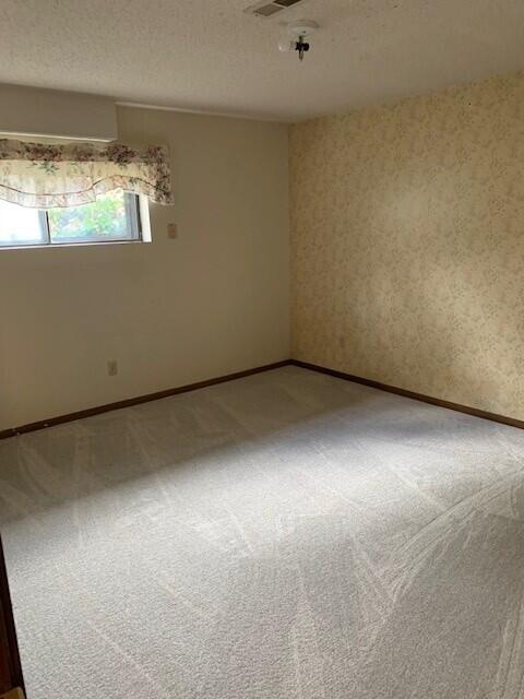 115 Shady Maple Road Property Photo 39