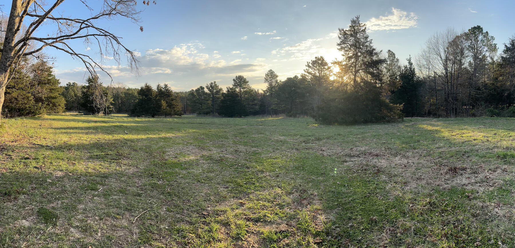 14277 Old Highway 60 Property Photo 1