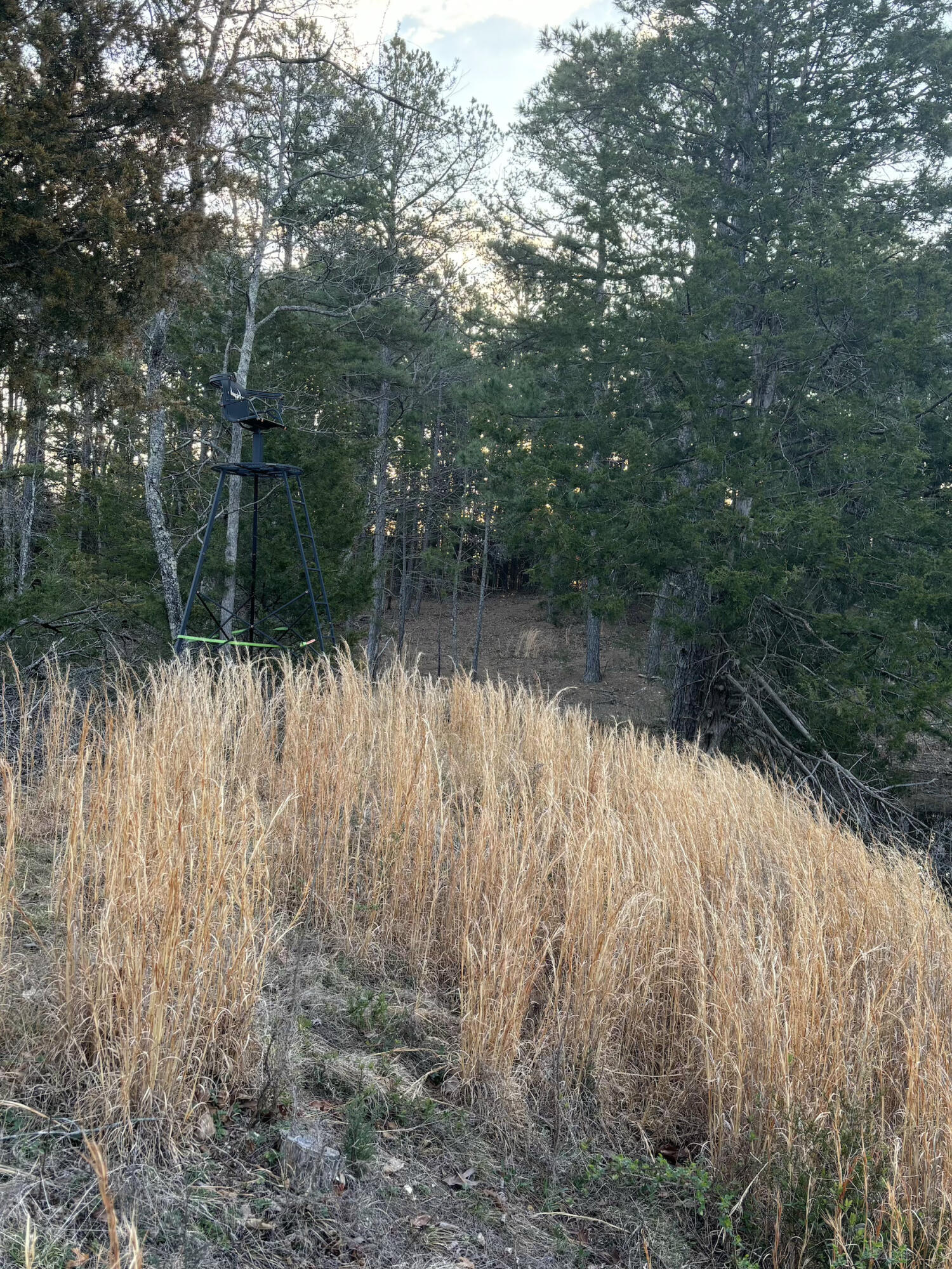 14277 Old Highway 60 Property Photo 4