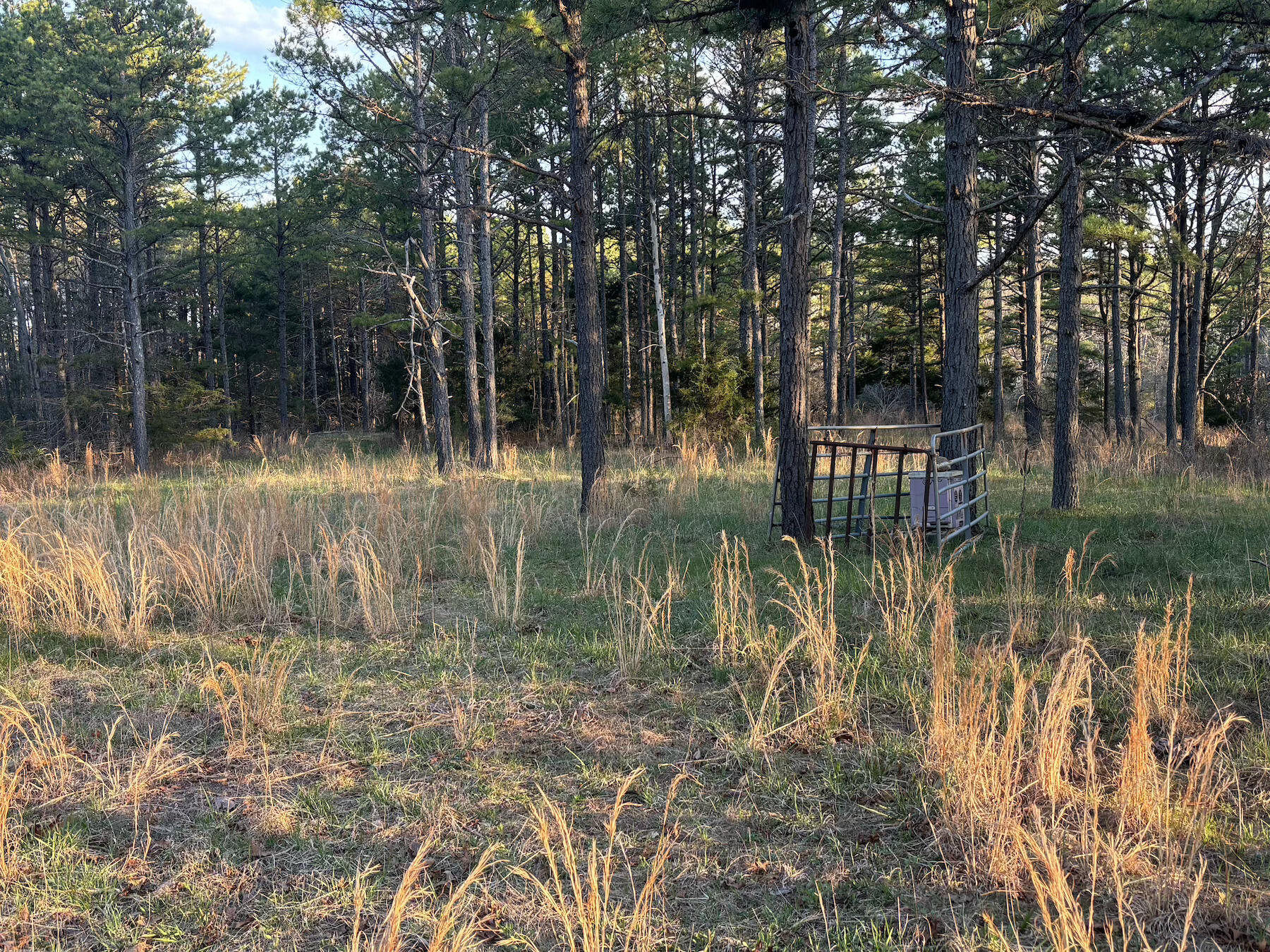 14277 Old Highway 60 Property Photo 14