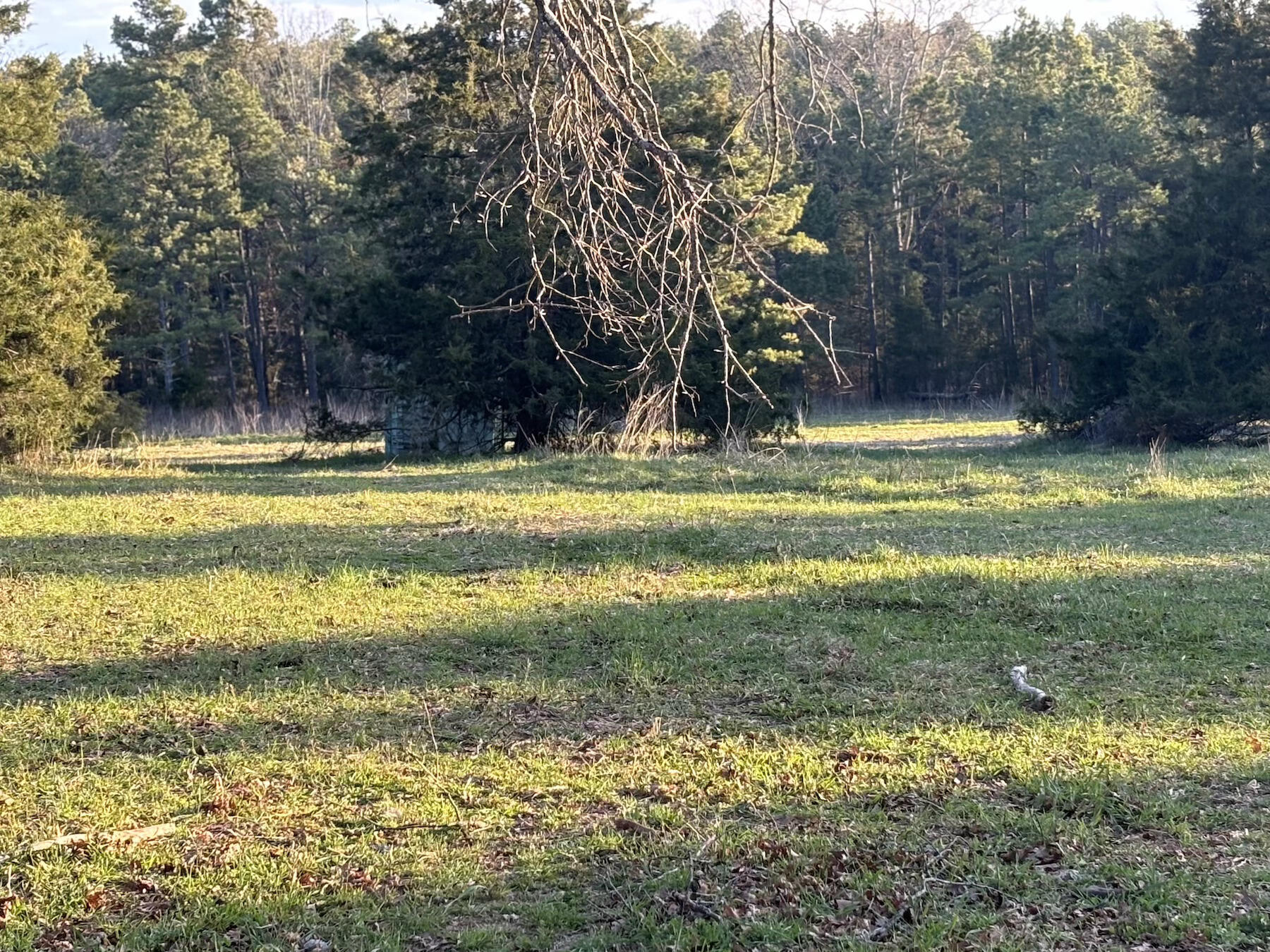 14277 Old Highway 60 Property Photo 16