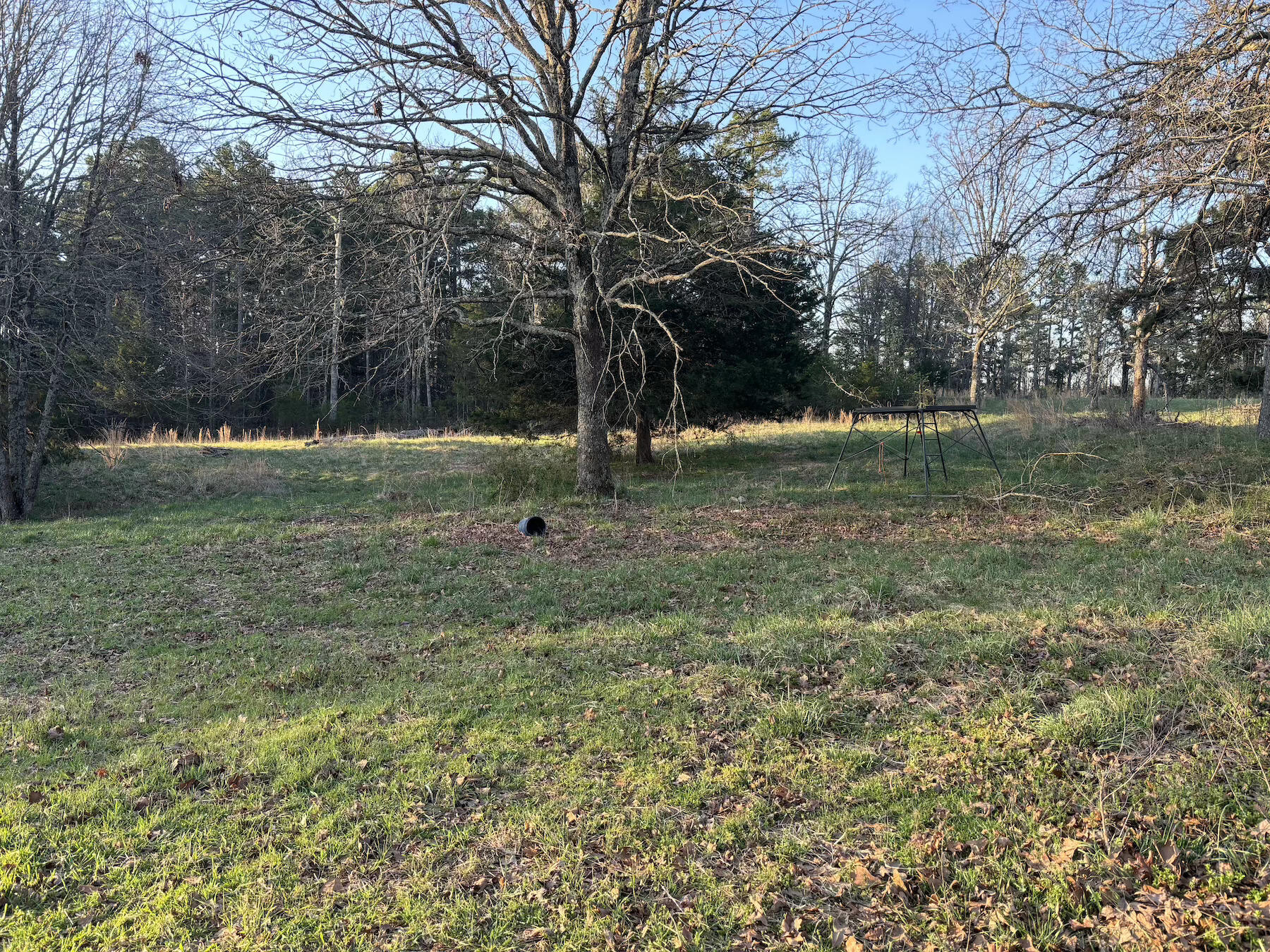 14277 Old Highway 60 Property Photo 18