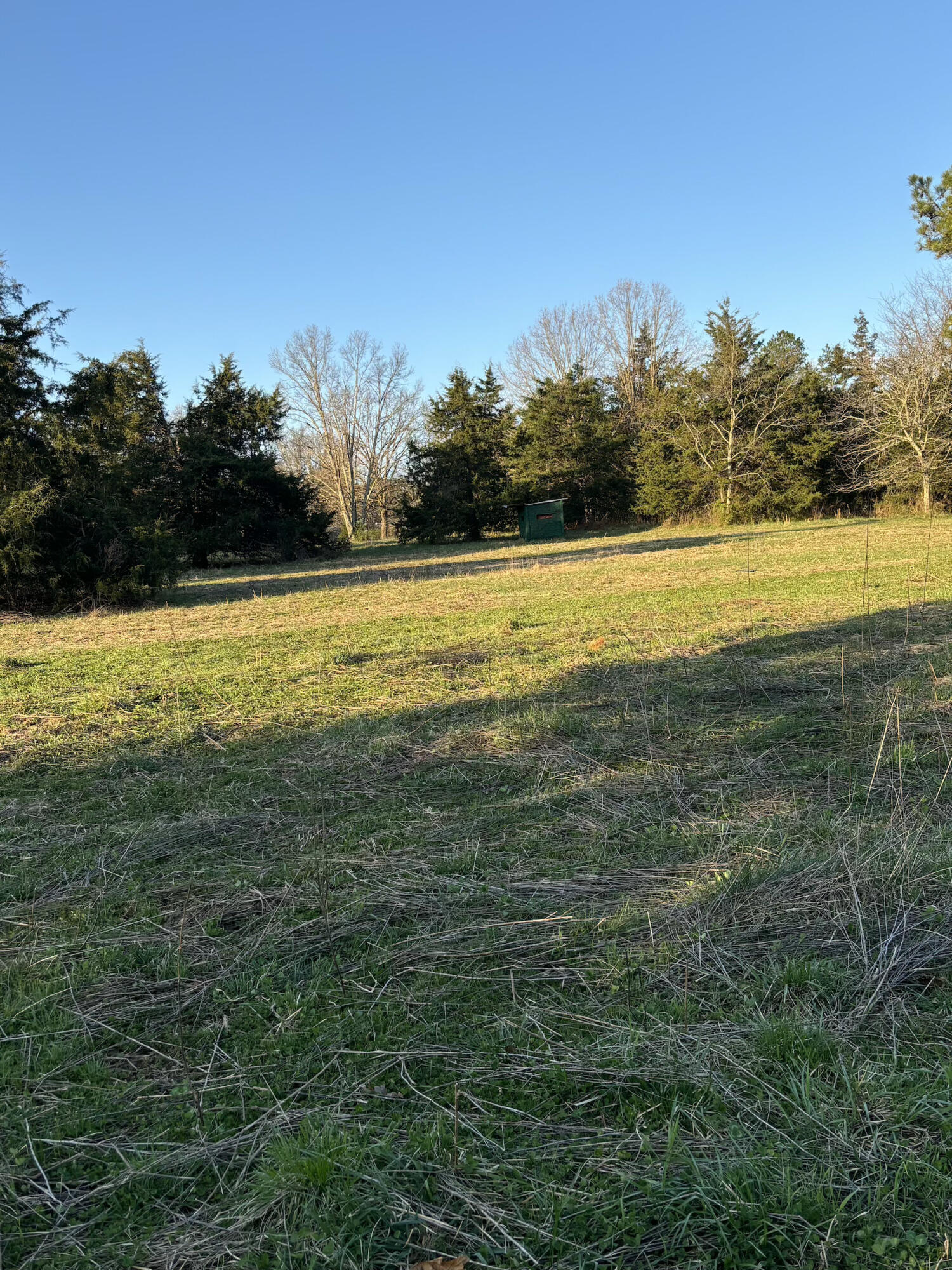 14277 Old Highway 60 Property Photo 22