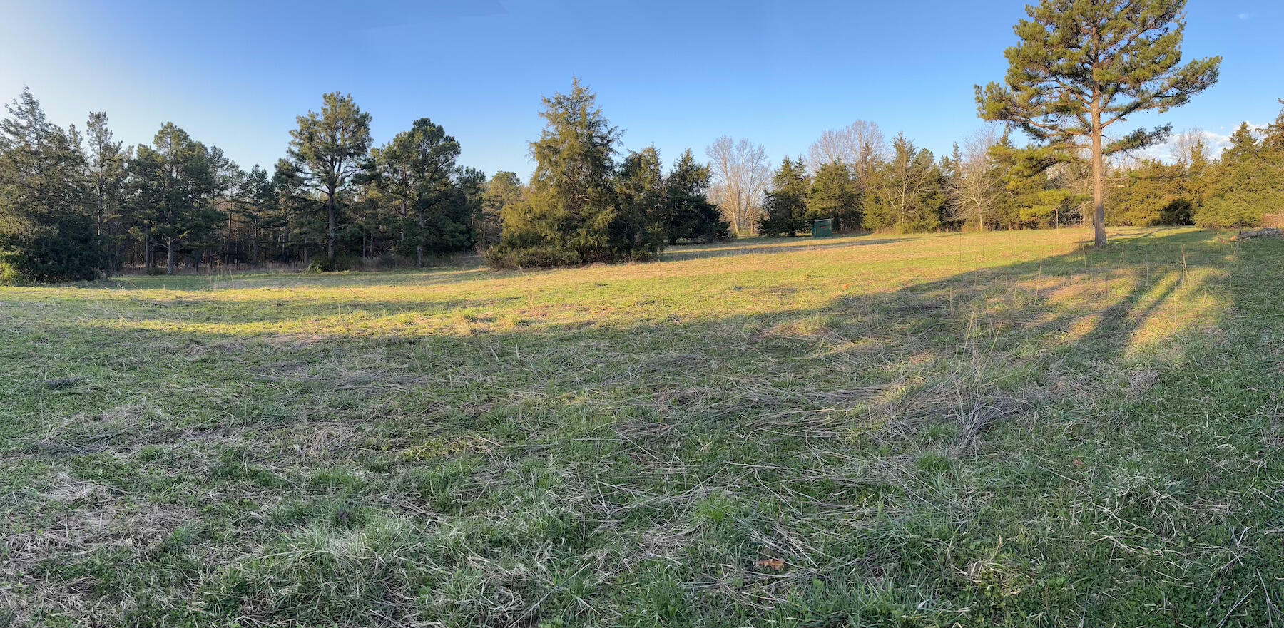 14277 Old Highway 60 Property Photo 23