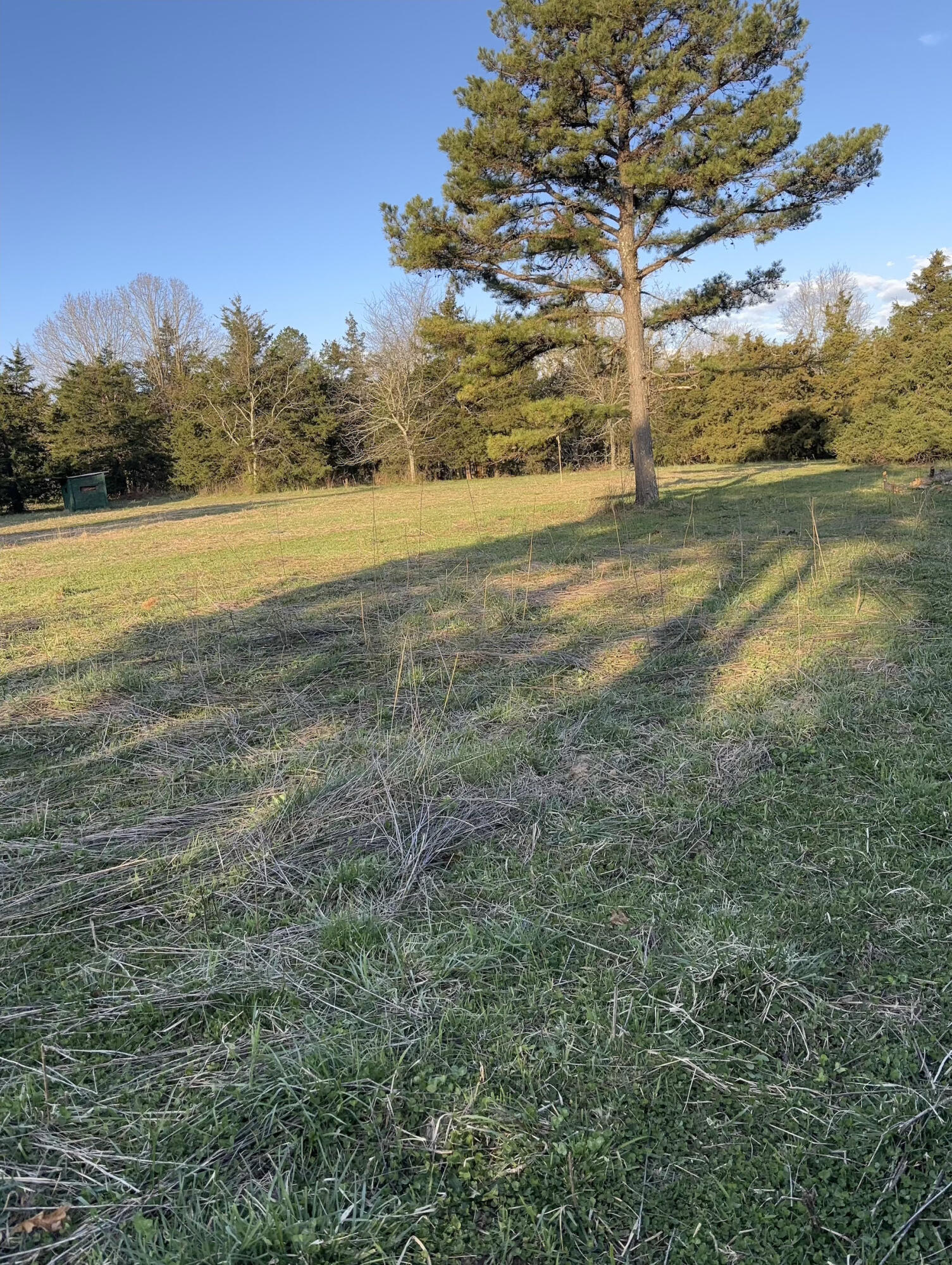 14277 Old Highway 60 Property Photo 24