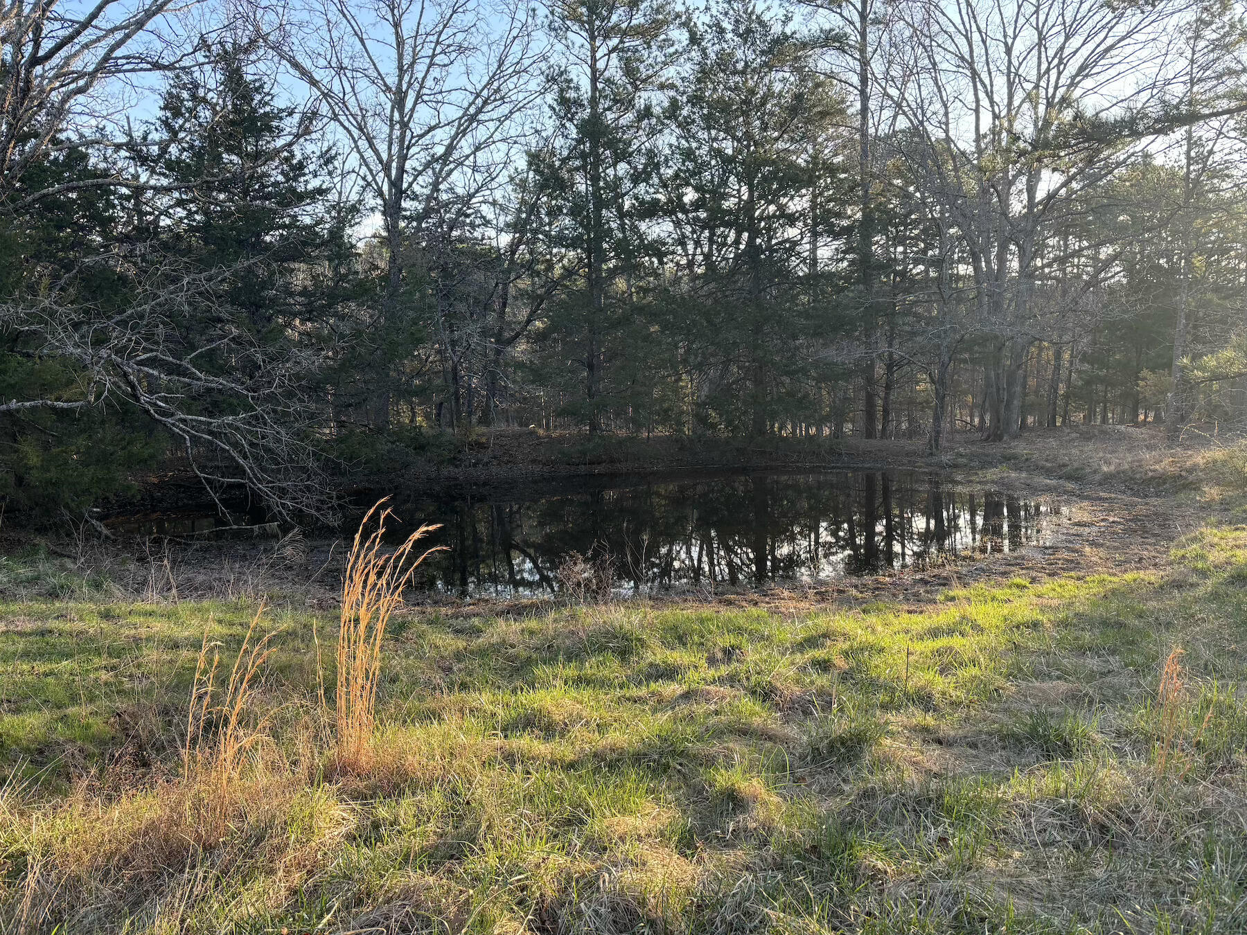14277 Old Highway 60 Property Photo 27