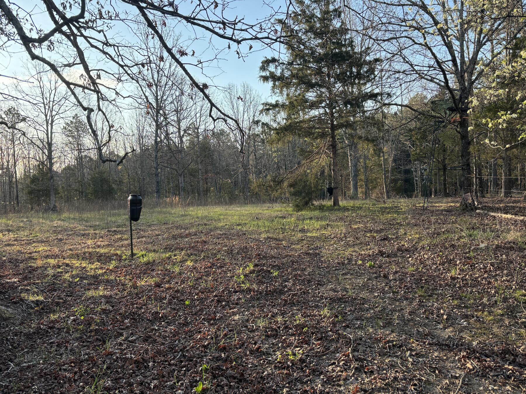 14277 Old Highway 60 Property Photo 29