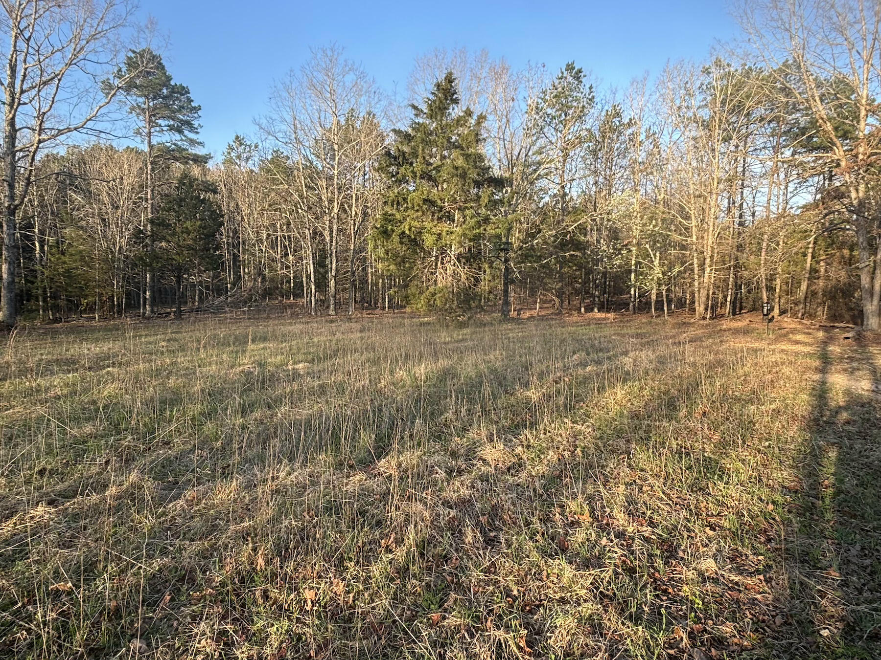 14277 Old Highway 60 Property Photo 30