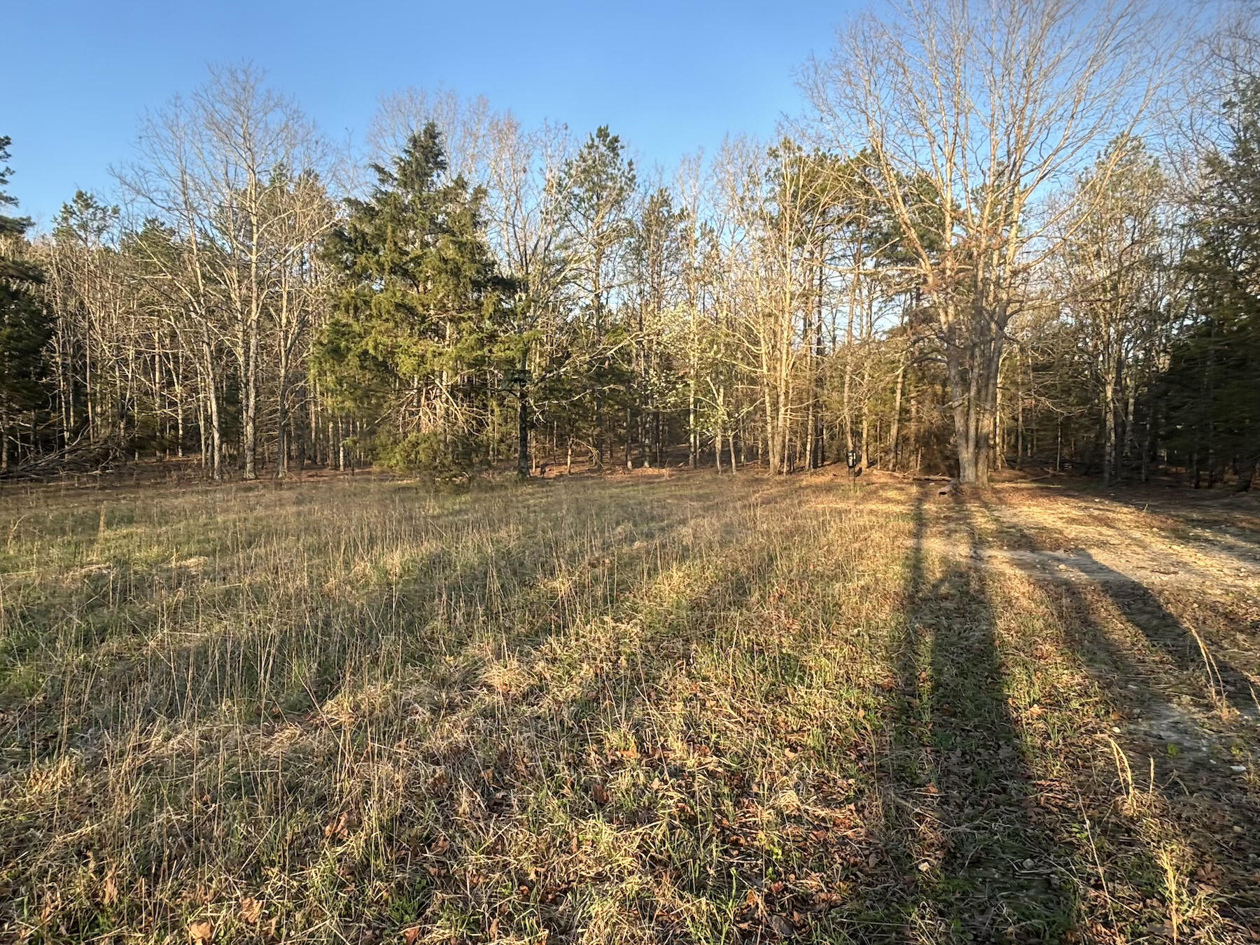 14277 Old Highway 60 Property Photo 31