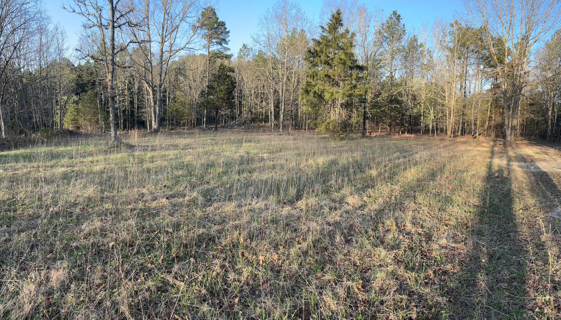 14277 Old Highway 60 Property Photo 32