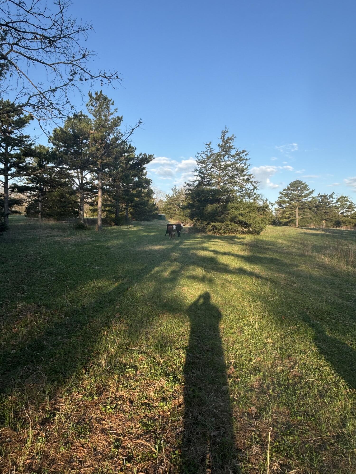 14277 Old Highway 60 Property Photo 35