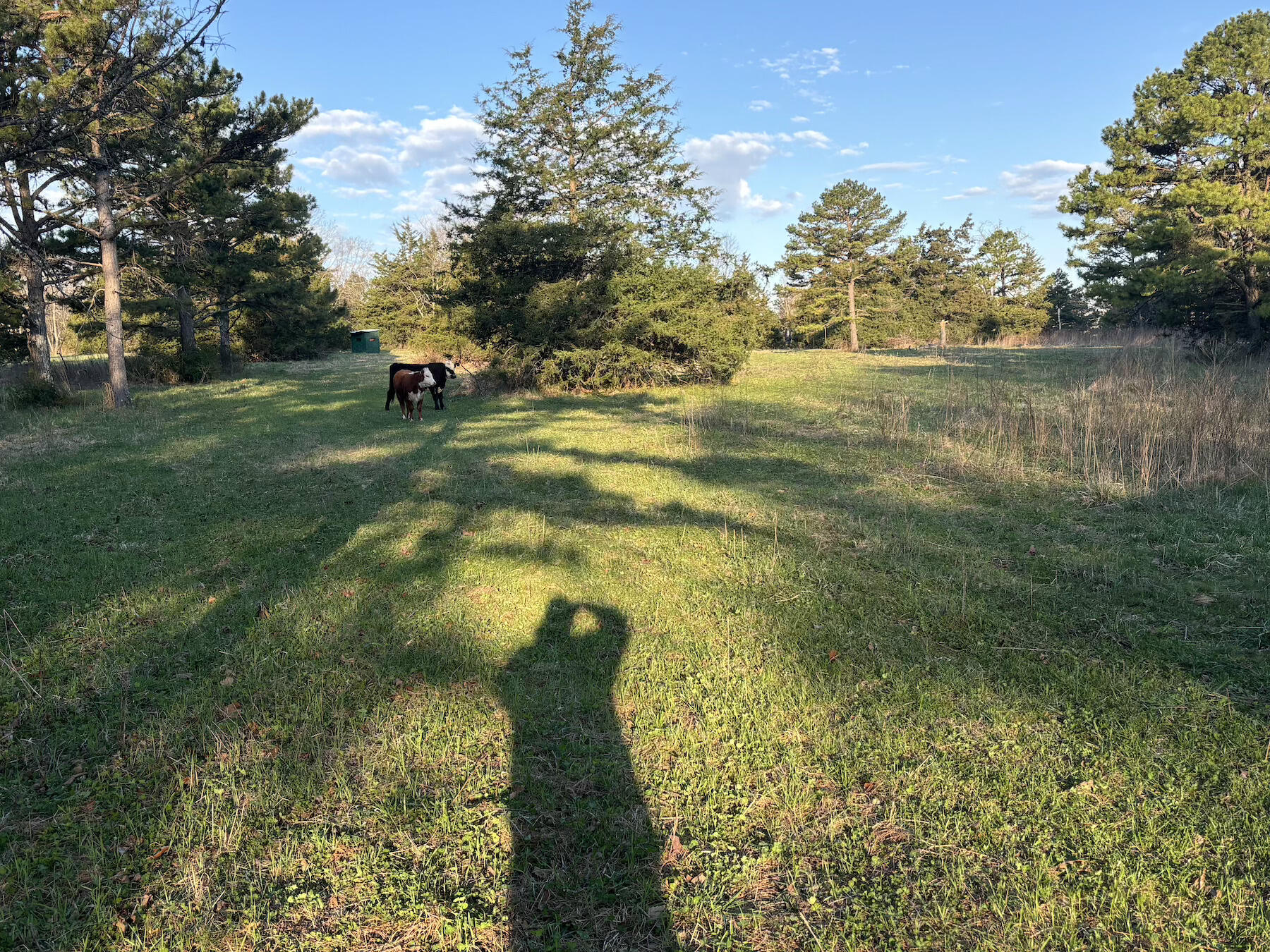 14277 Old Highway 60 Property Photo 36