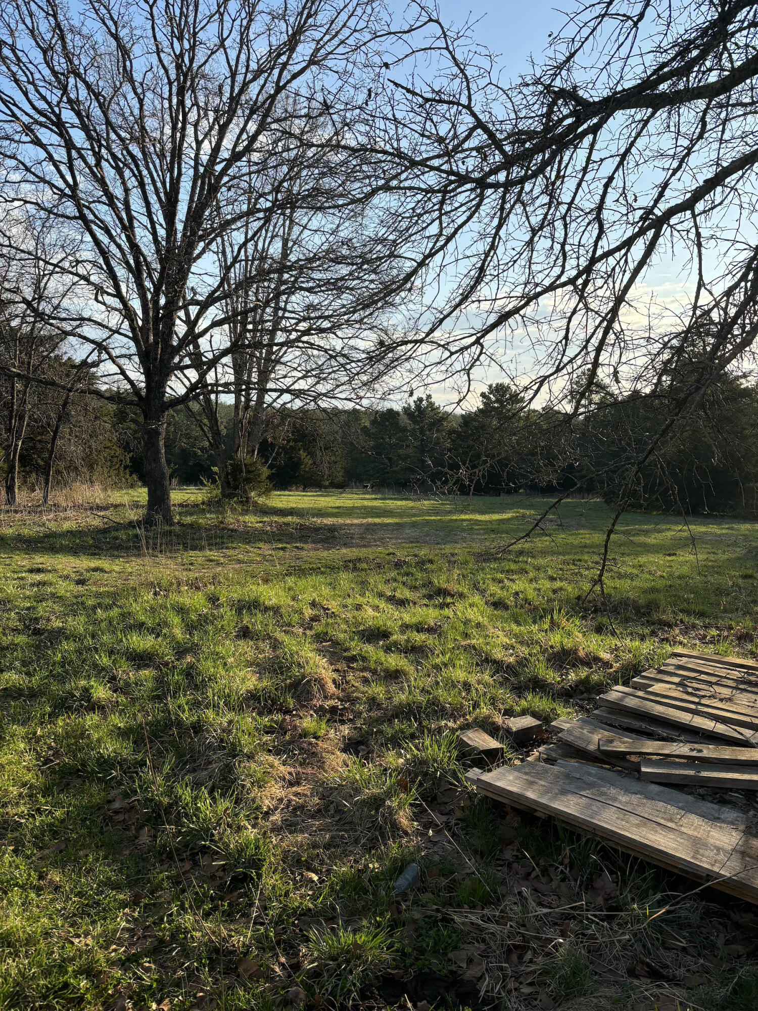 14277 Old Highway 60 Property Photo 37