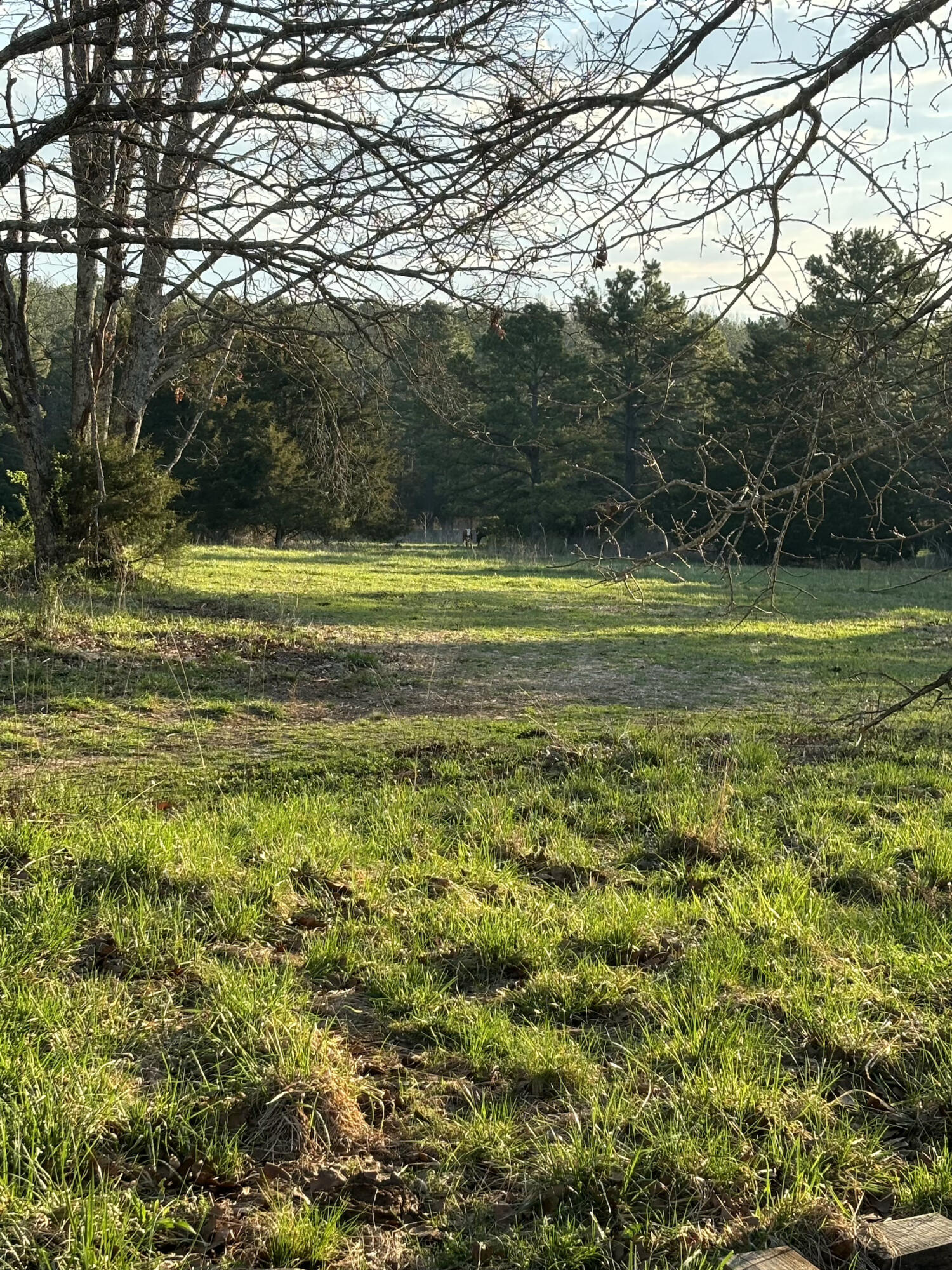 14277 Old Highway 60 Property Photo 38