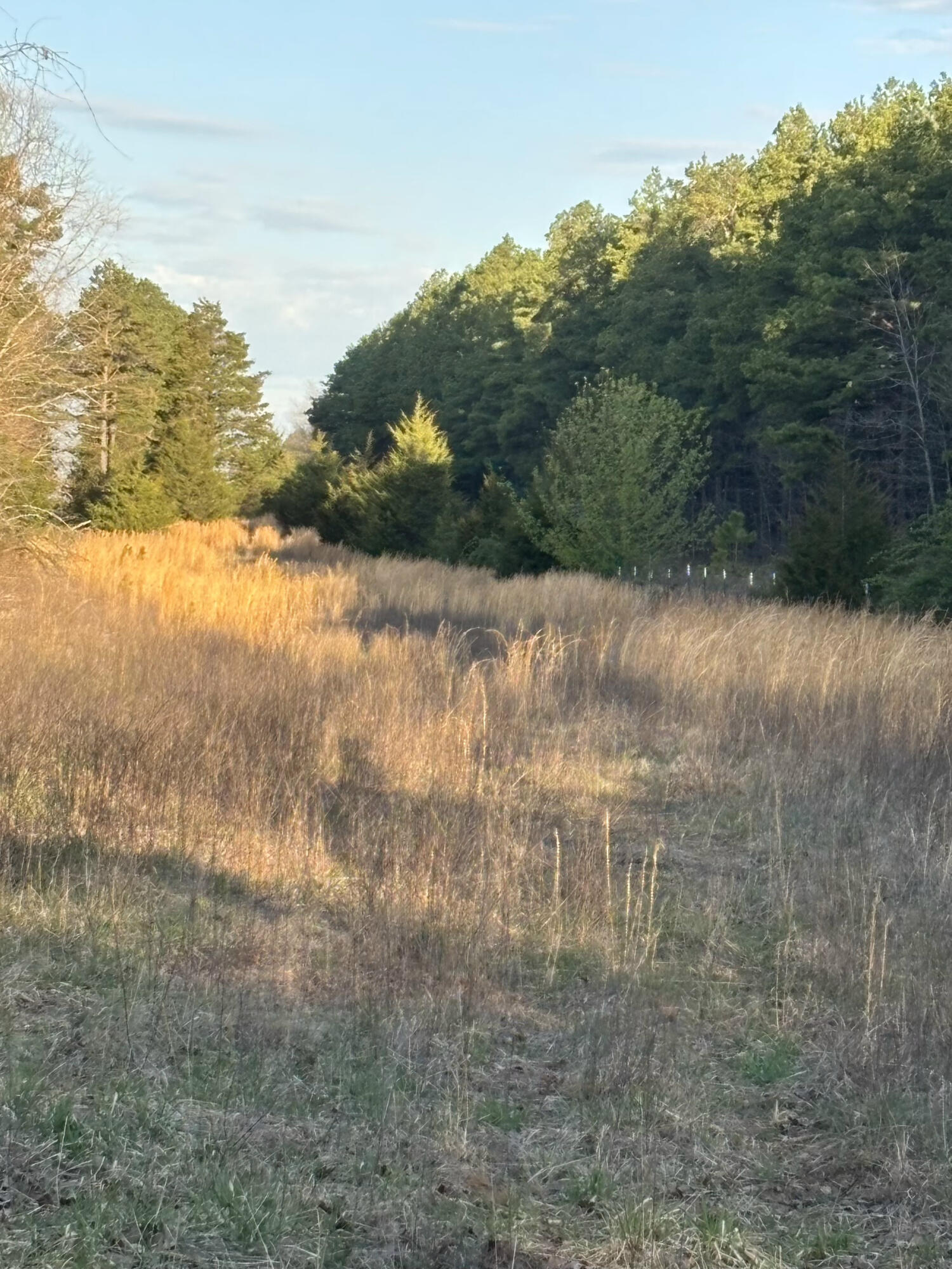 14277 Old Highway 60 Property Photo 39