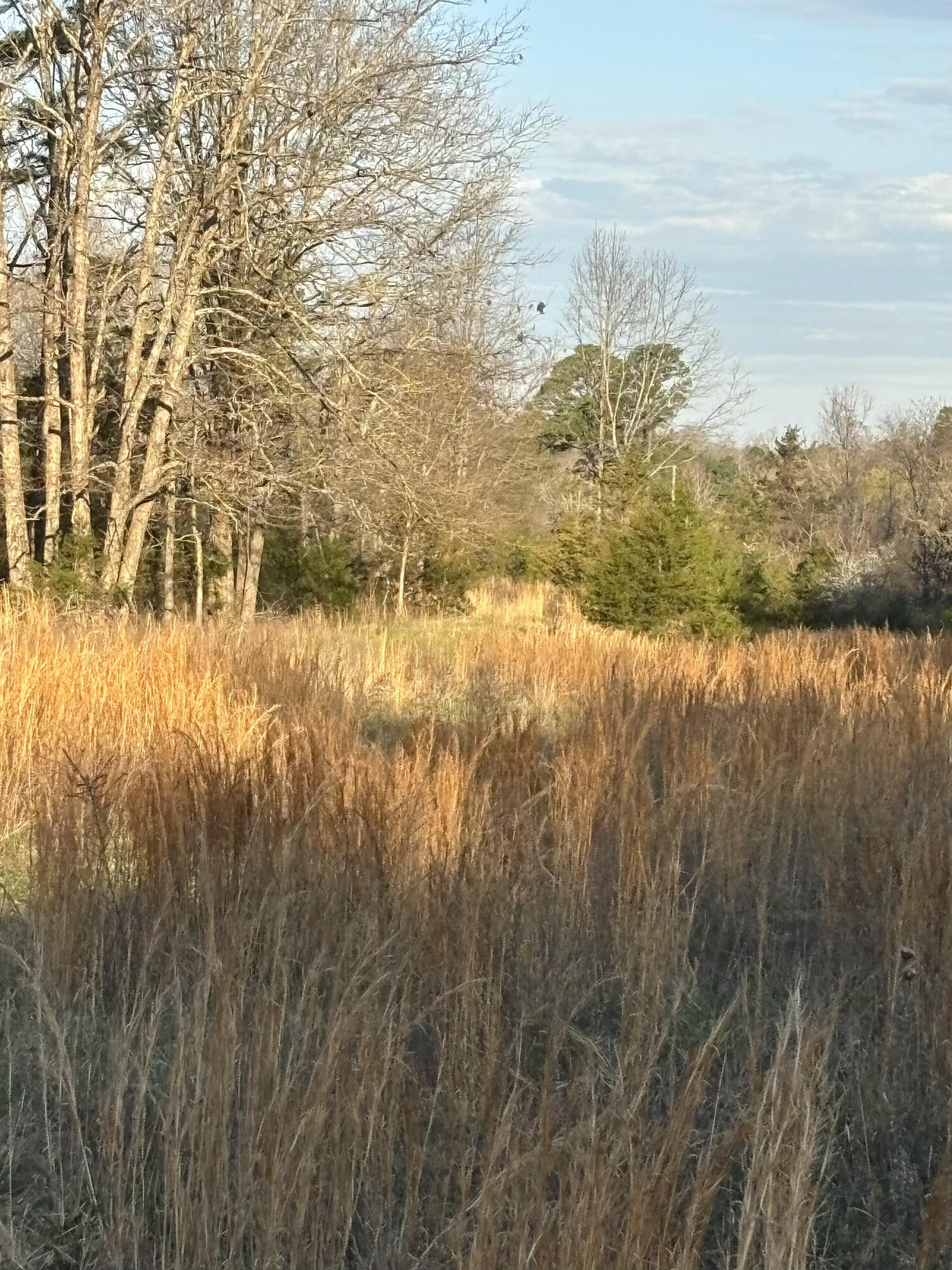 14277 Old Highway 60 Property Photo 40