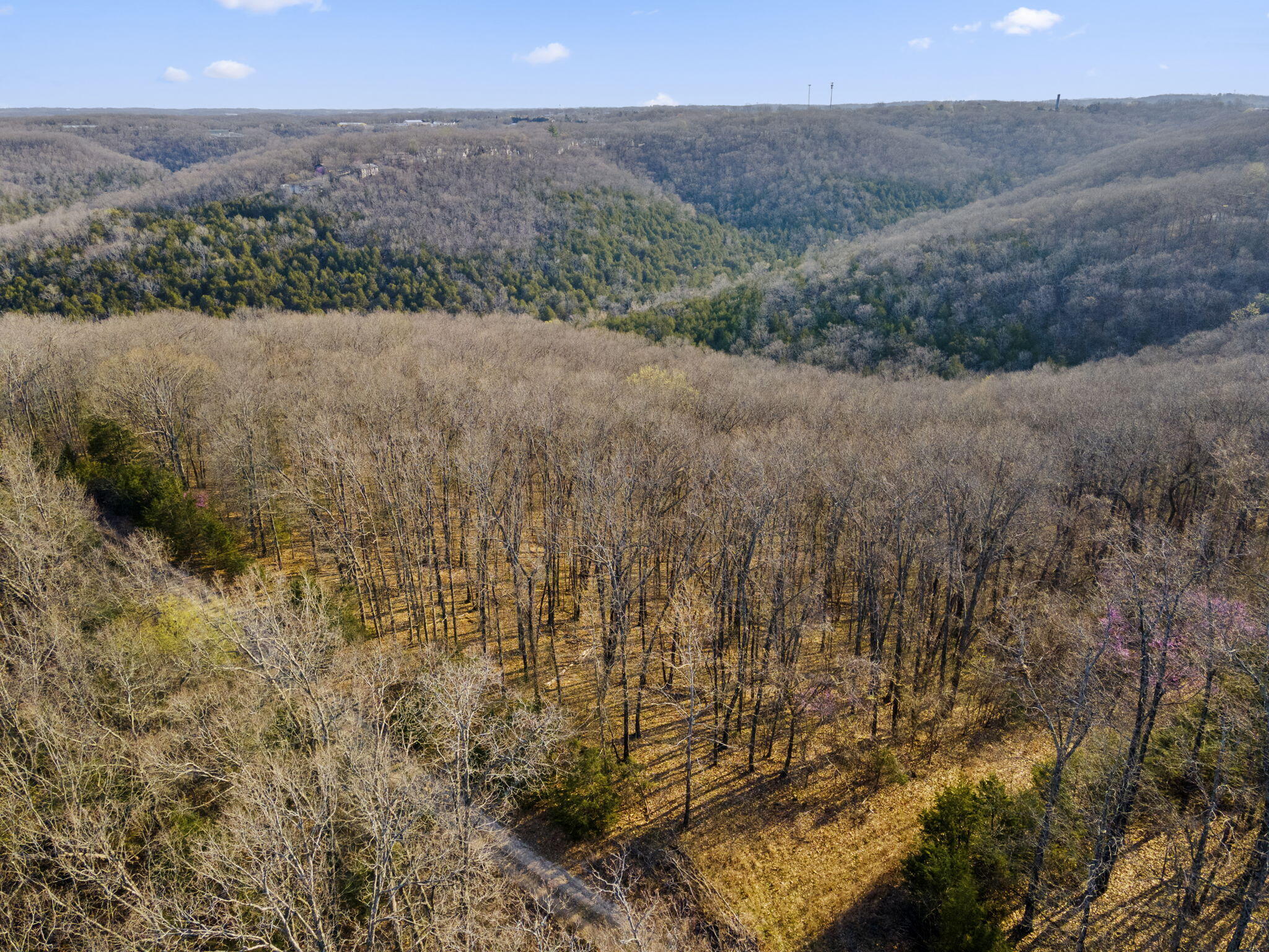 Tbd Red Oak Lane Property Photo 8