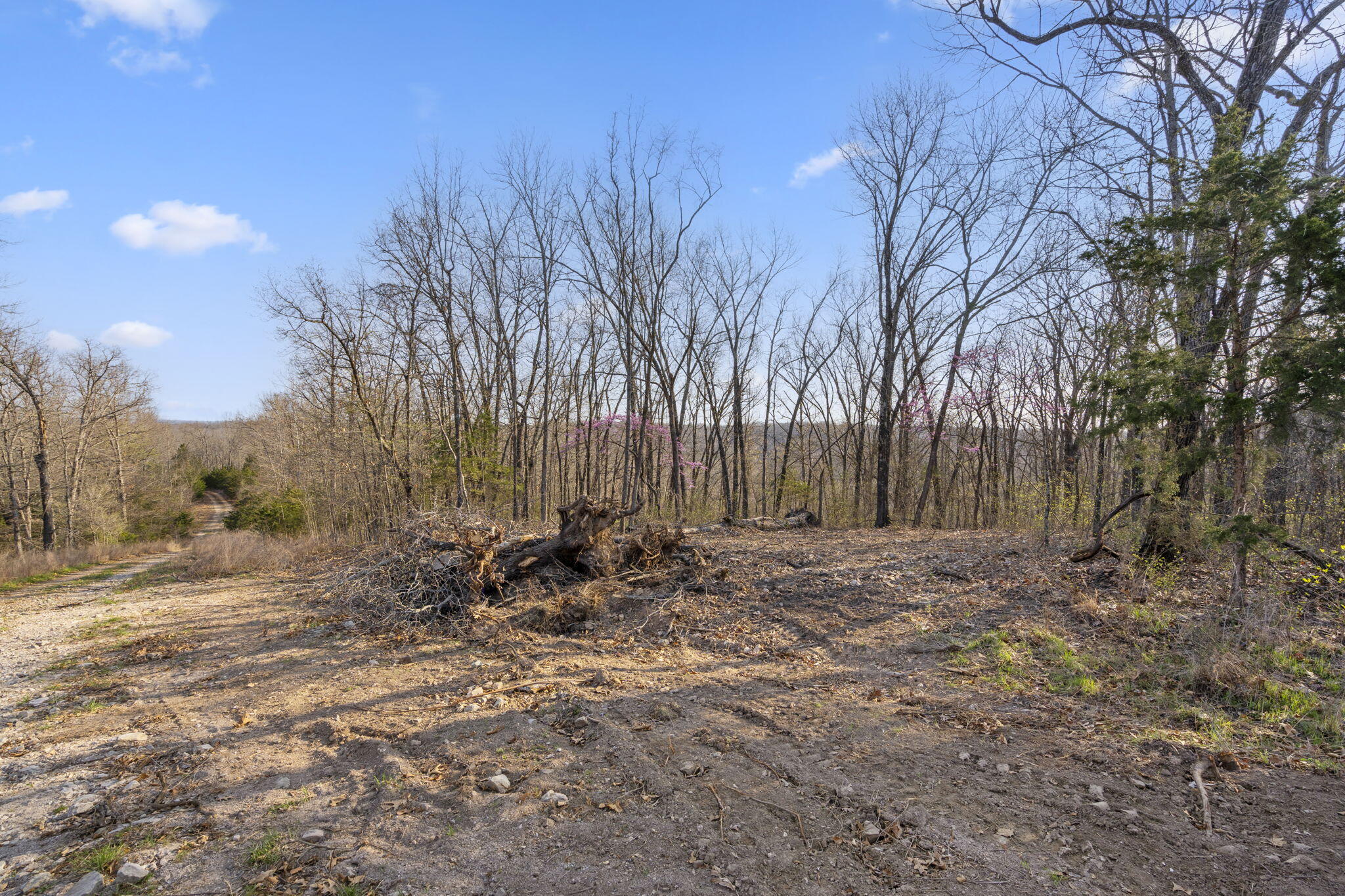 Tbd Red Oak Lane Property Photo 12