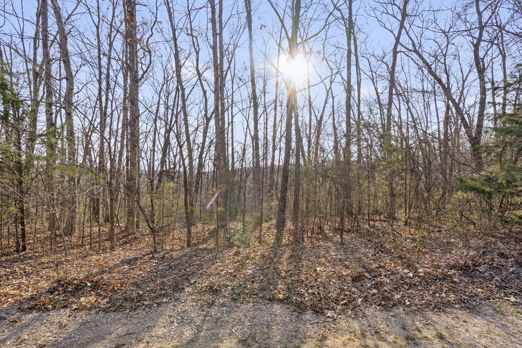 Tbd Red Oak Lane Property Photo 13
