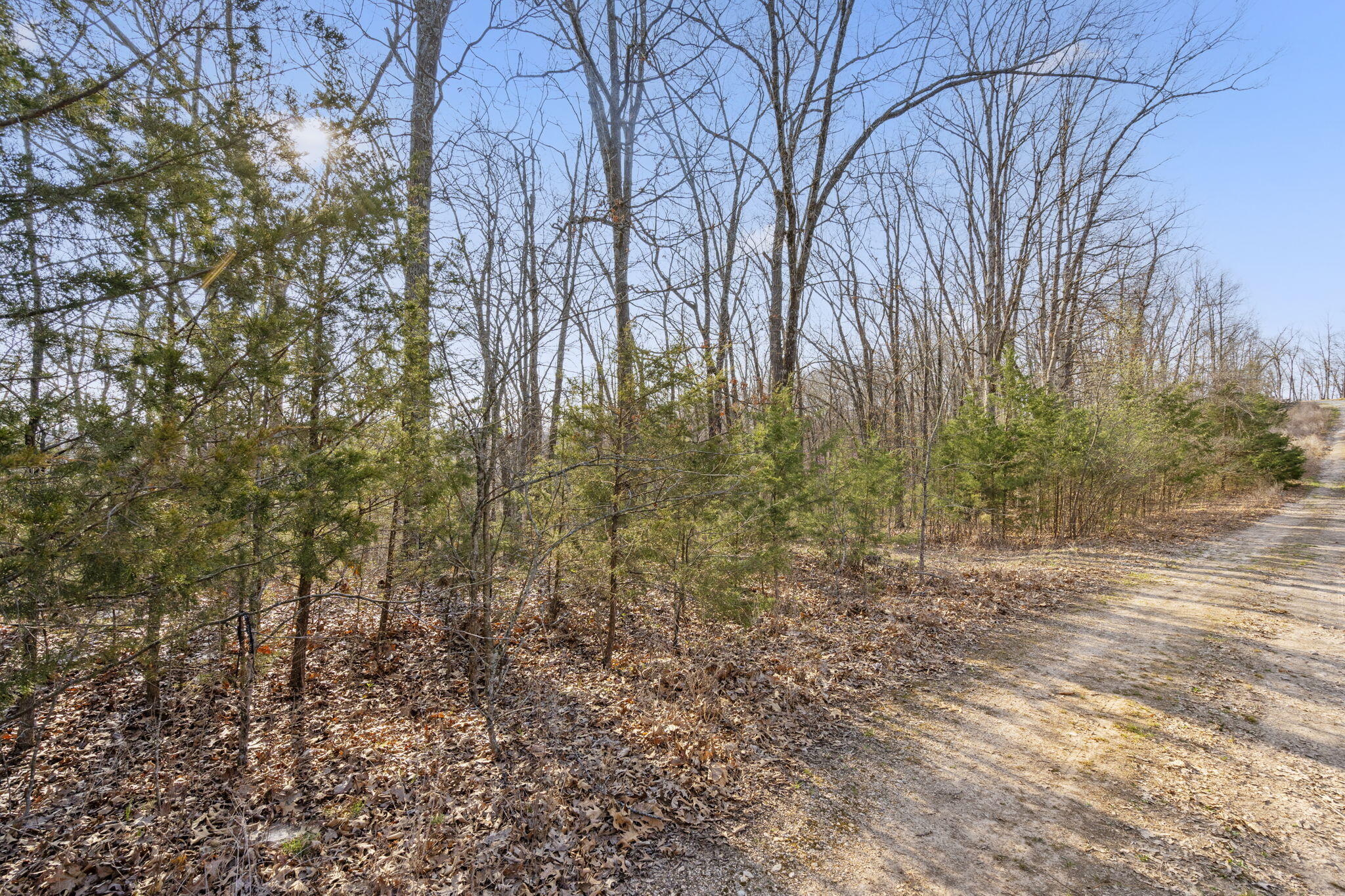 Tbd Red Oak Lane Property Photo 15