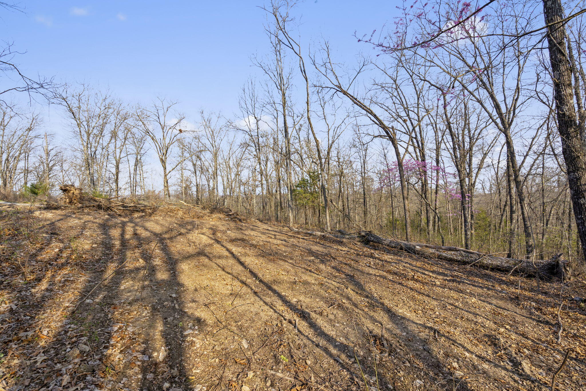 Tbd Red Oak Lane Property Photo 16