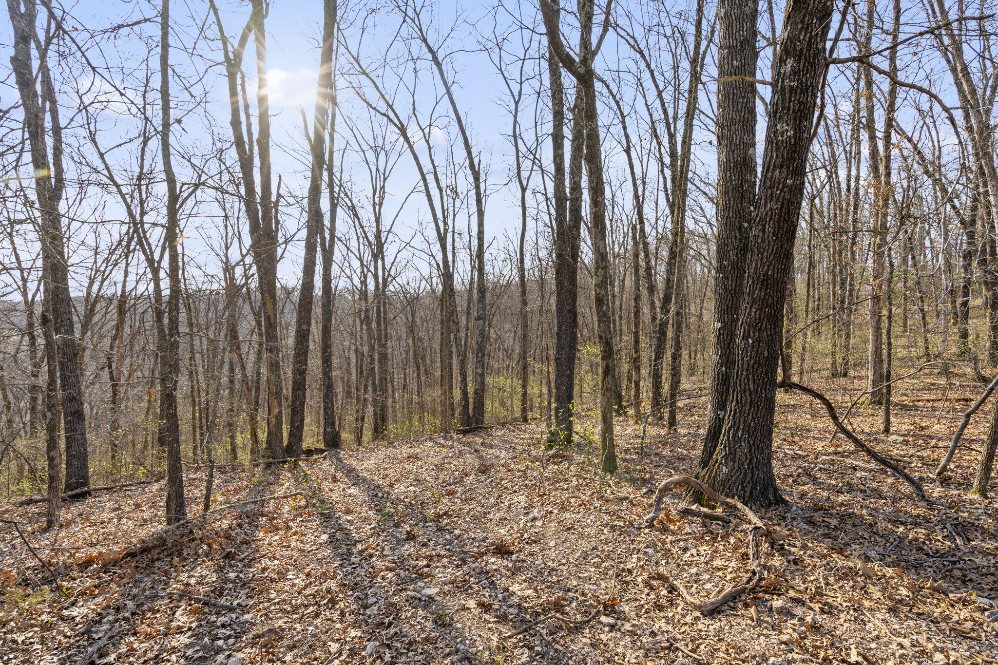 Tbd Red Oak Lane Property Photo 17