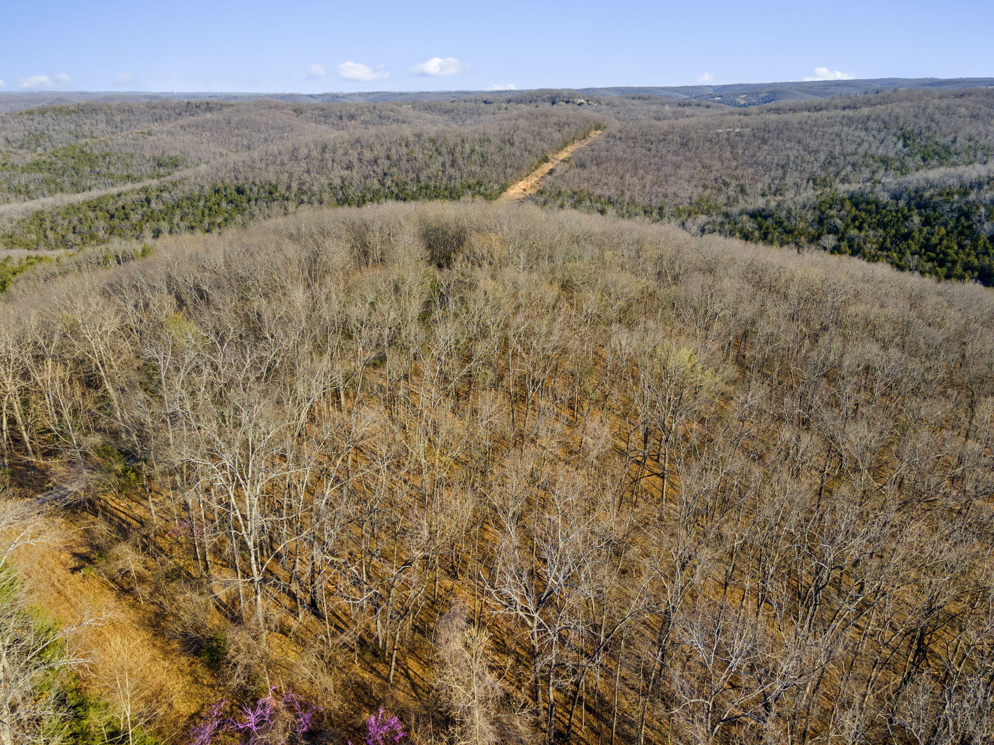 Tbd Red Oak Lane Property Photo 30