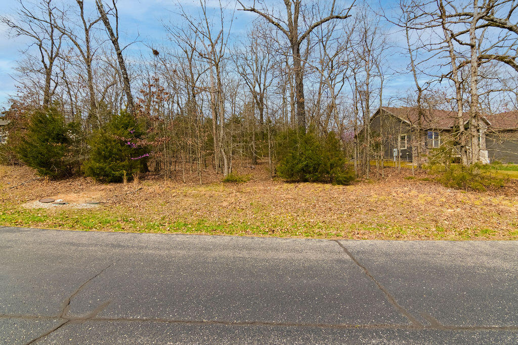 Lot 28 Crossing Drive Property Photo 6