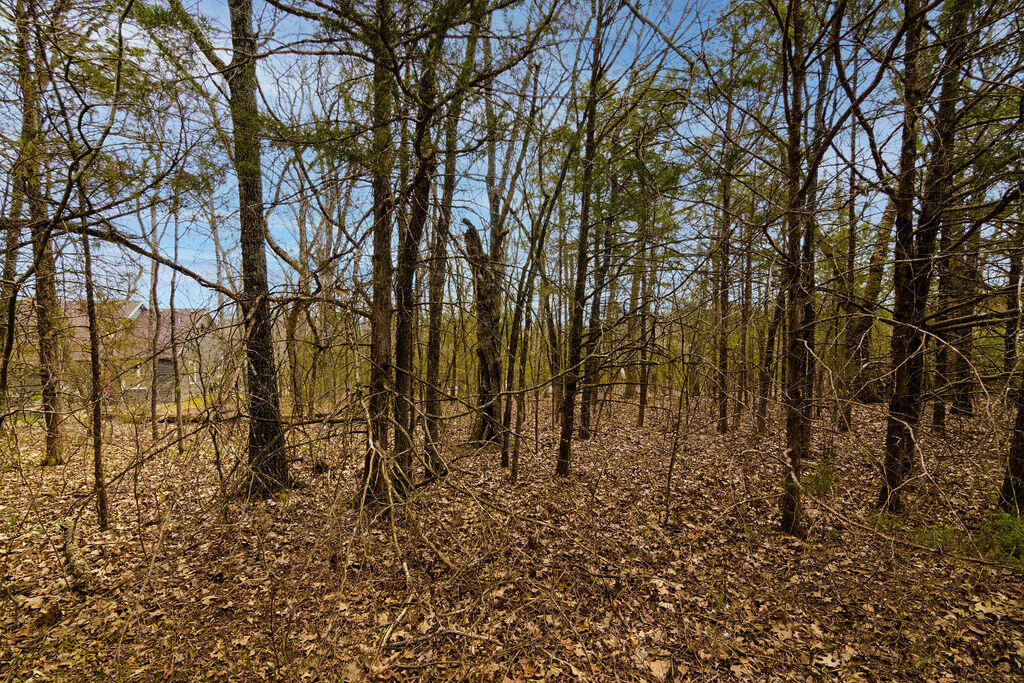 Lot 28 Crossing Drive Property Photo 8
