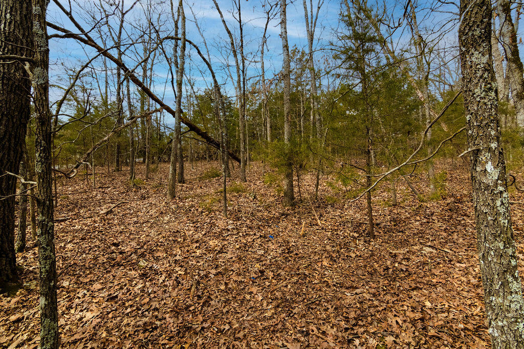 Lot 28 Crossing Drive Property Photo 9