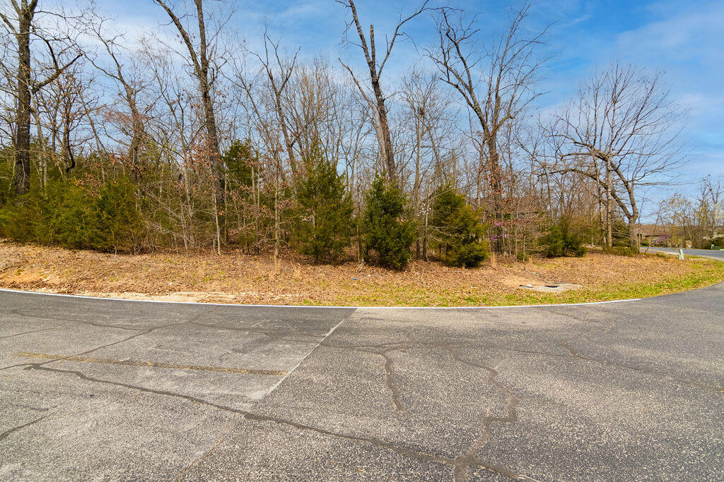 Lot 28 Crossing Drive Property Photo 13