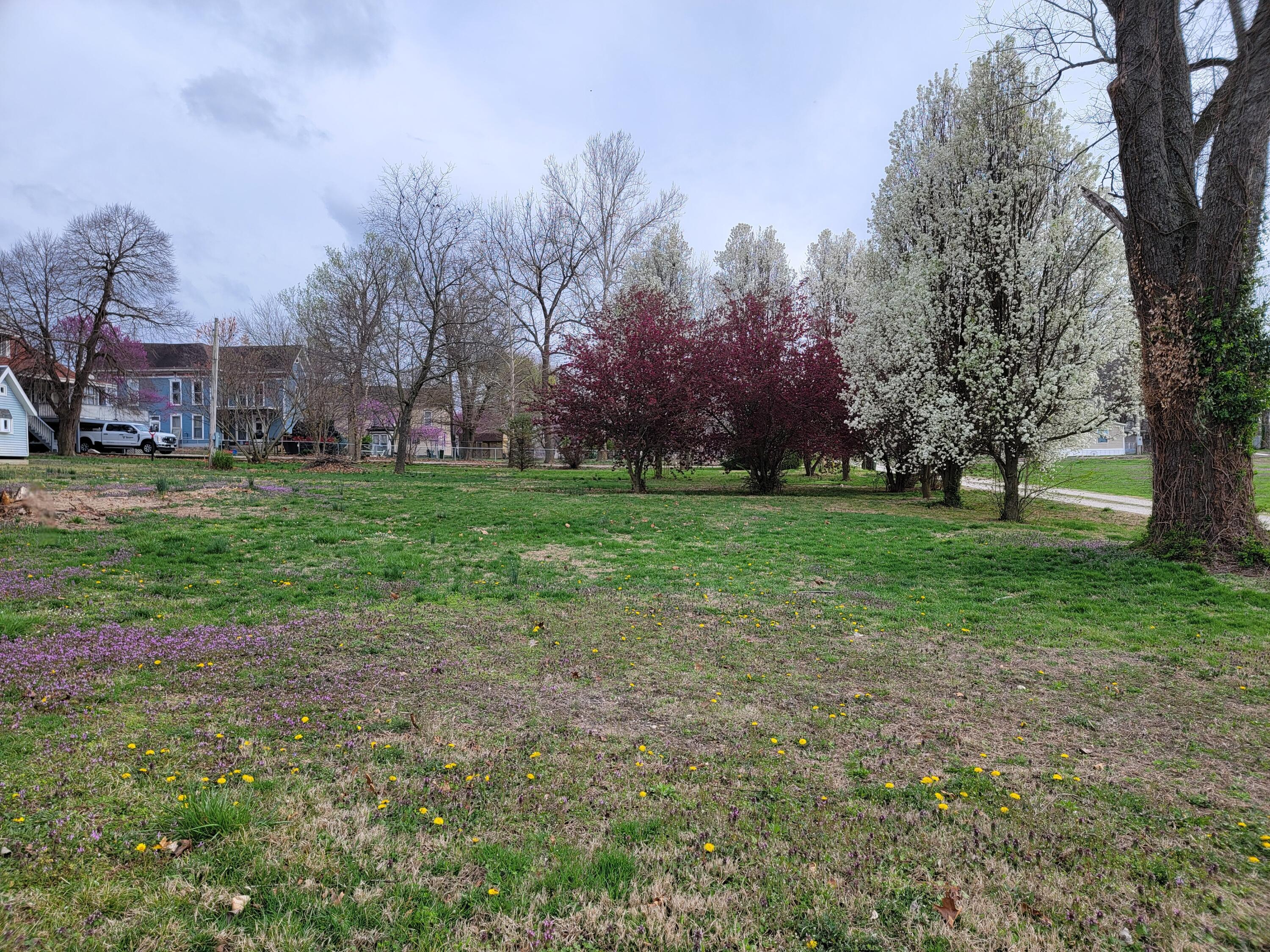 000 North Locust Street Property Photo 1