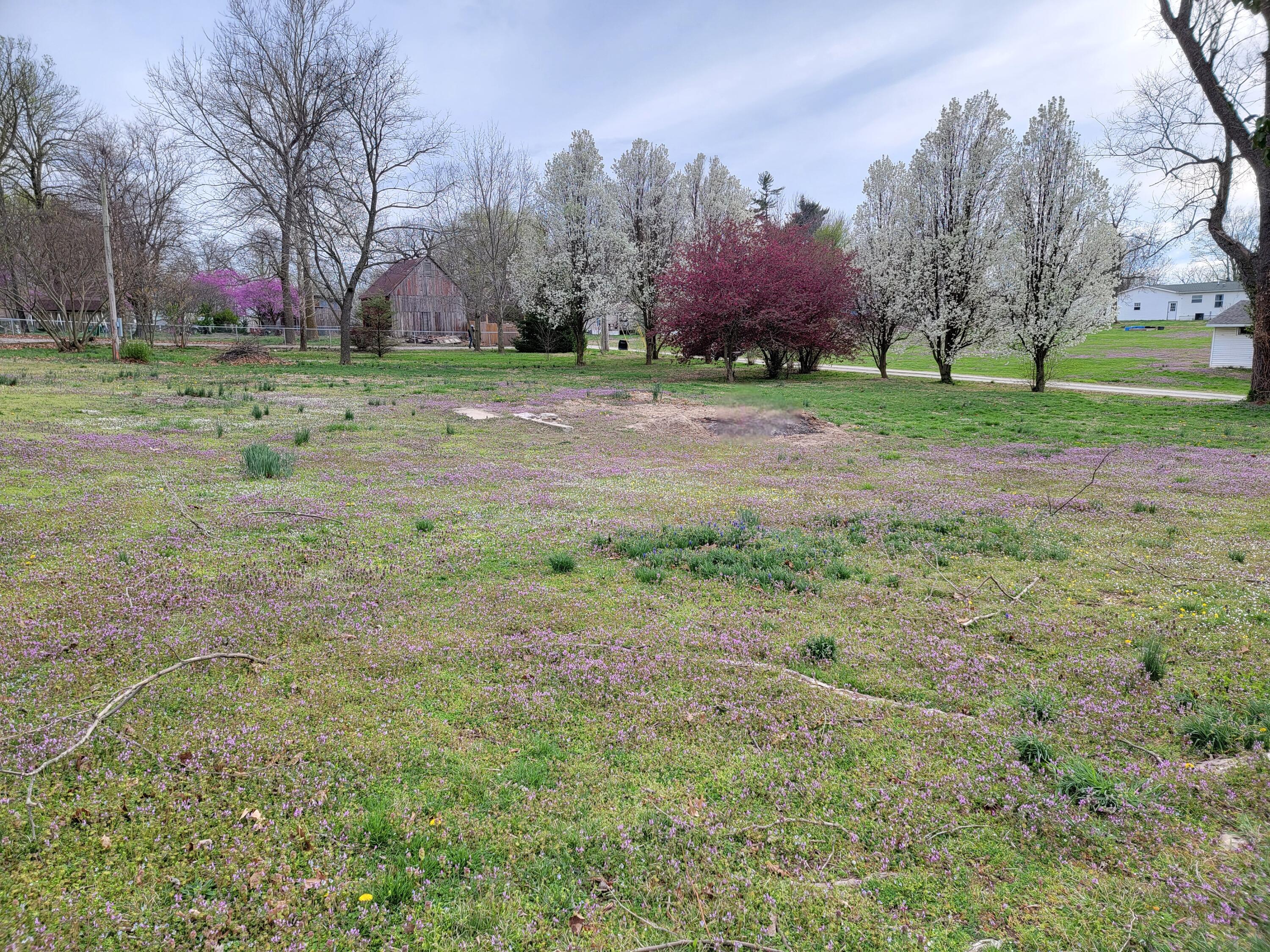 000 North Locust Street Property Photo 2