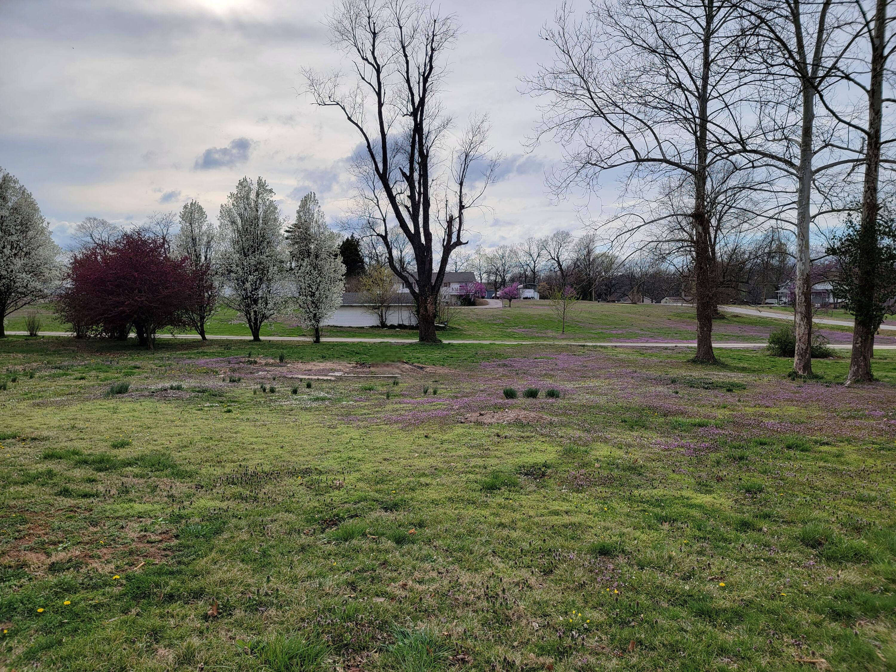 000 North Locust Street Property Photo 3