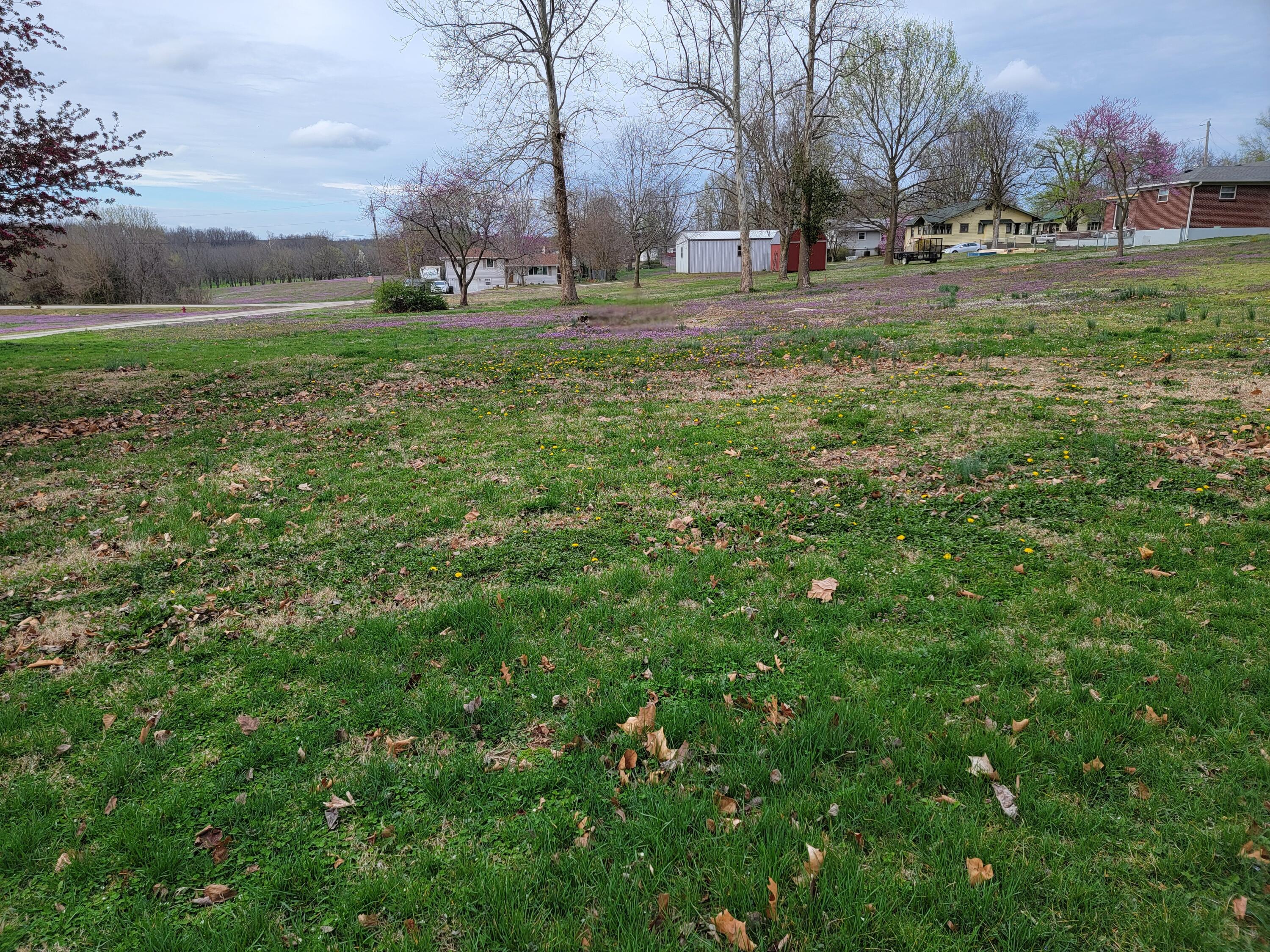 000 North Locust Street Property Photo 8