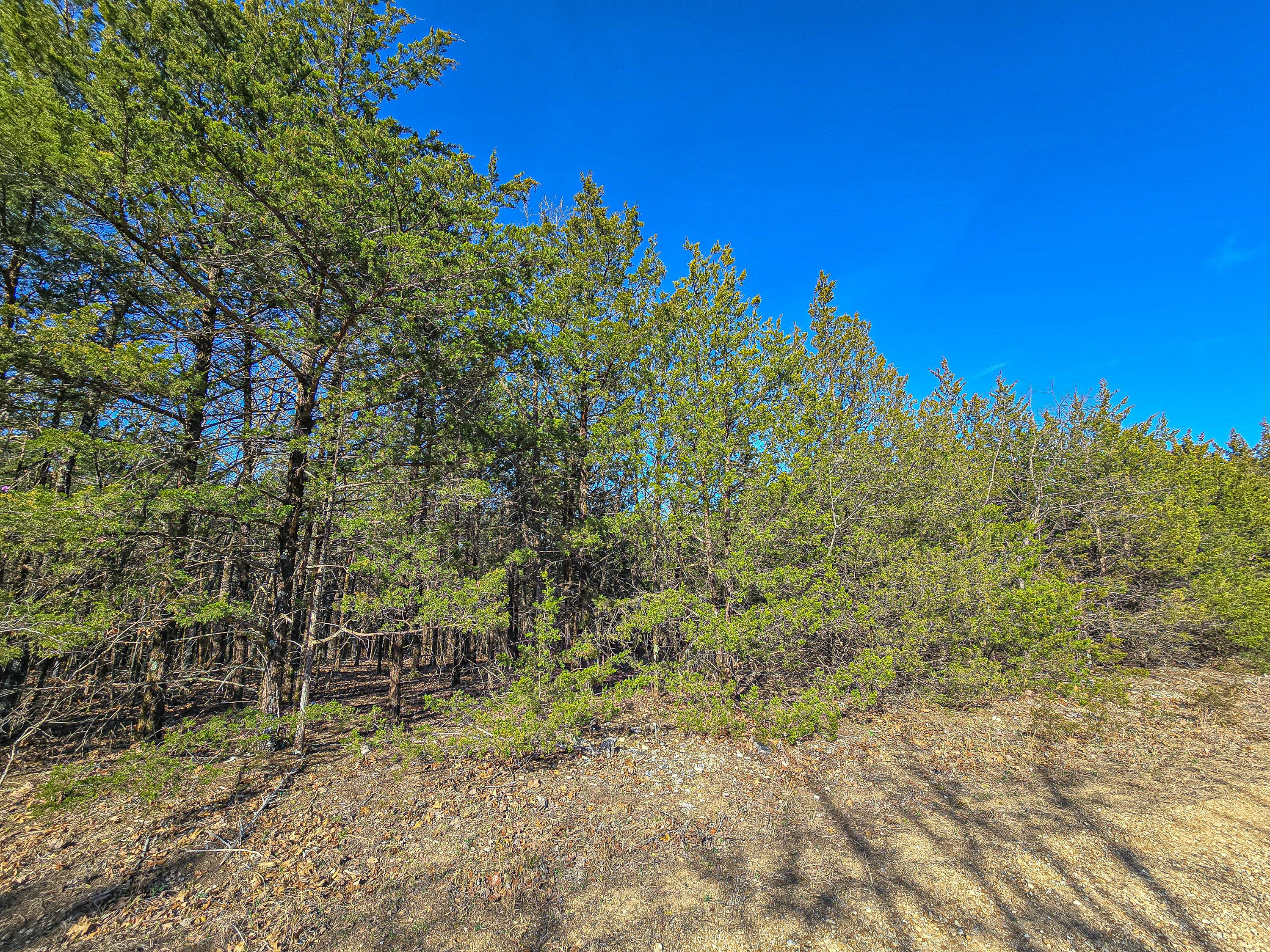 Tract A Tall Oaks Property Photo 2