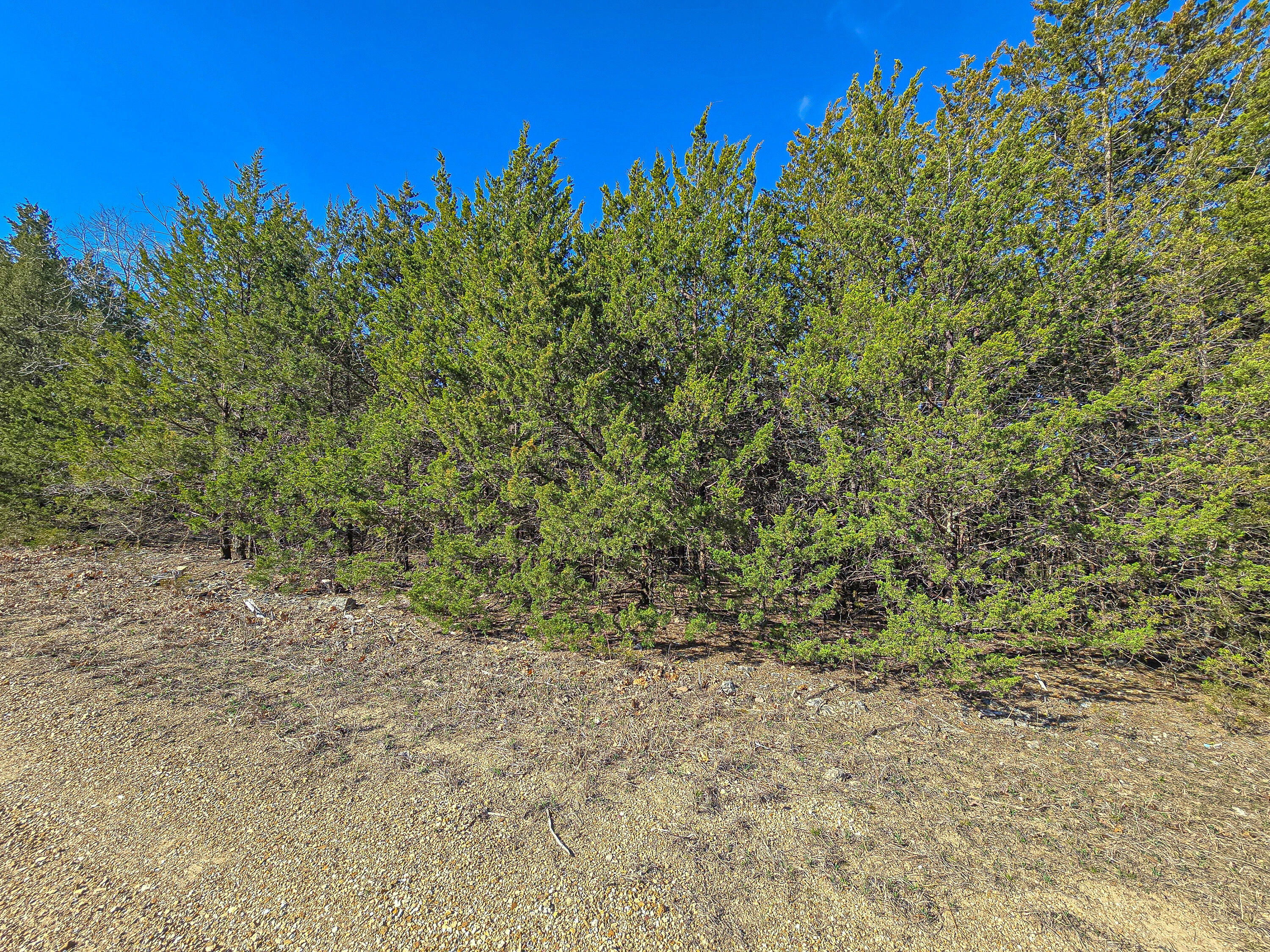 Tract A Tall Oaks Property Photo 3