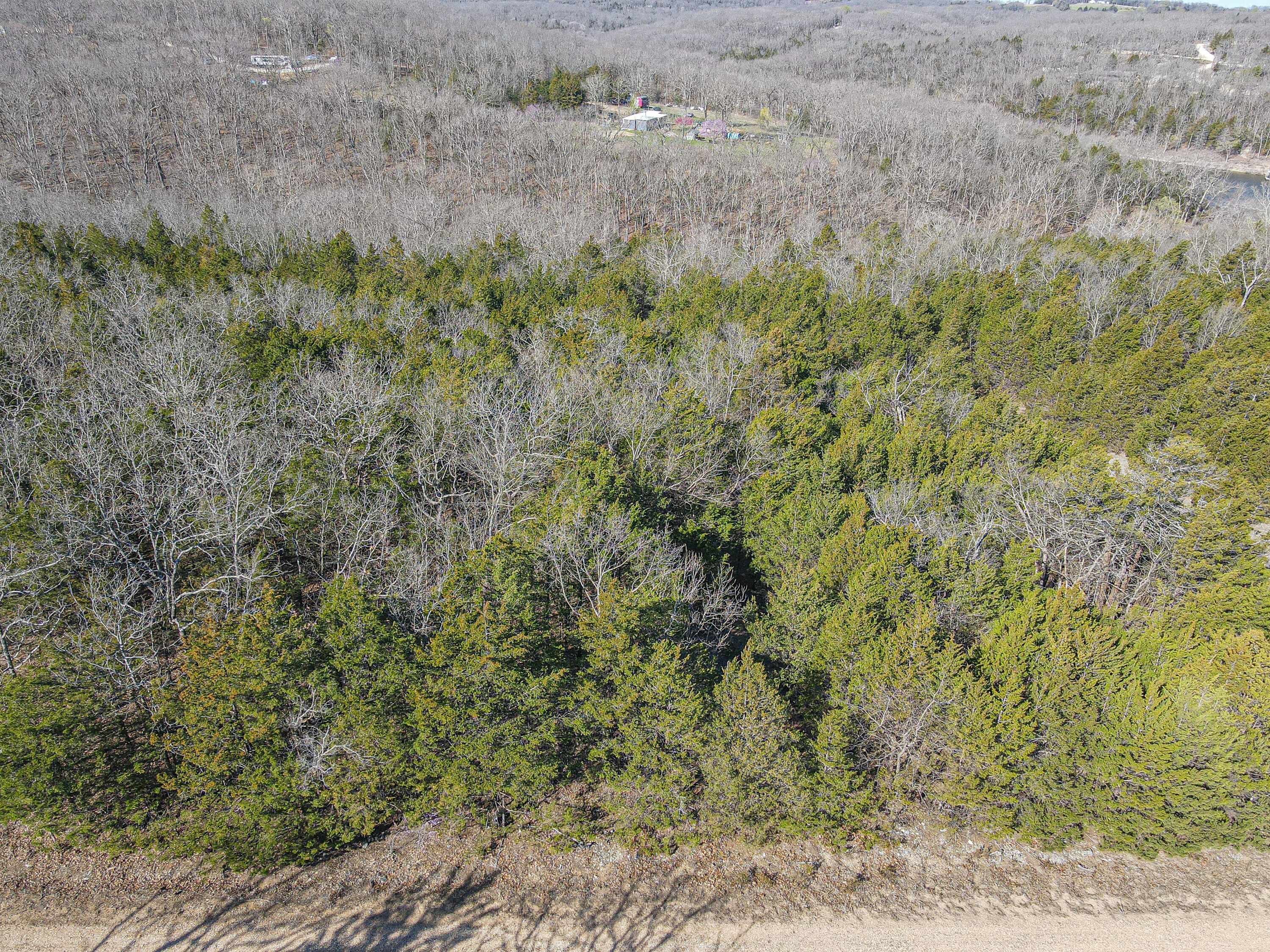 Tract A Tall Oaks Property Photo 4