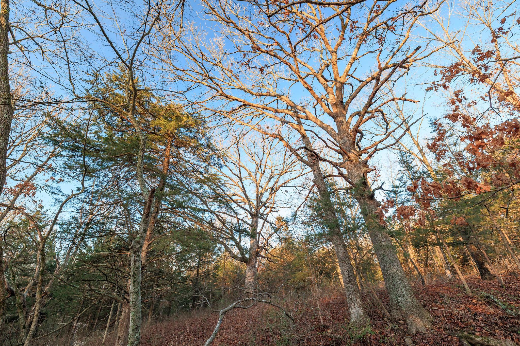 000 South 2251 Road Property Photo 24