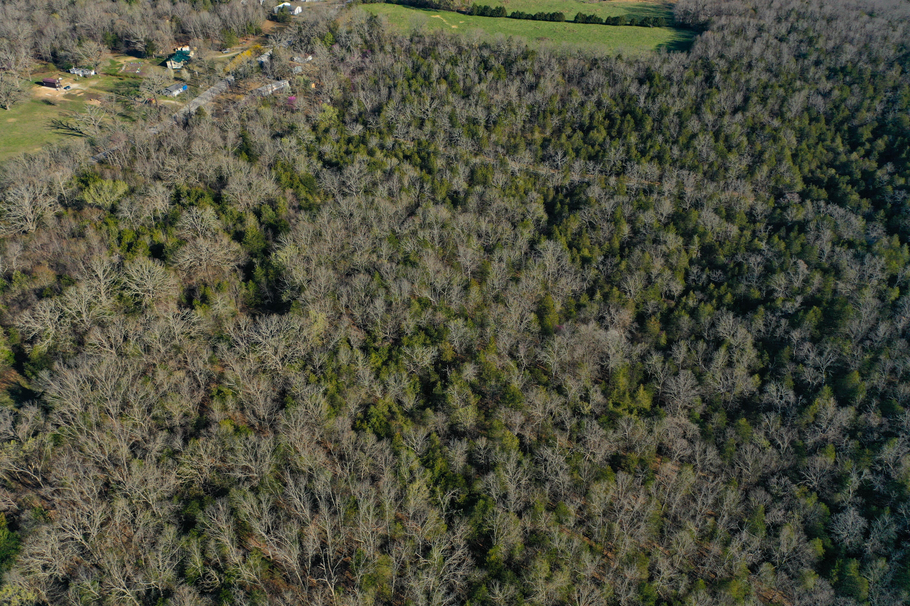 1755 State Hwy O- Tract C Property Photo 5