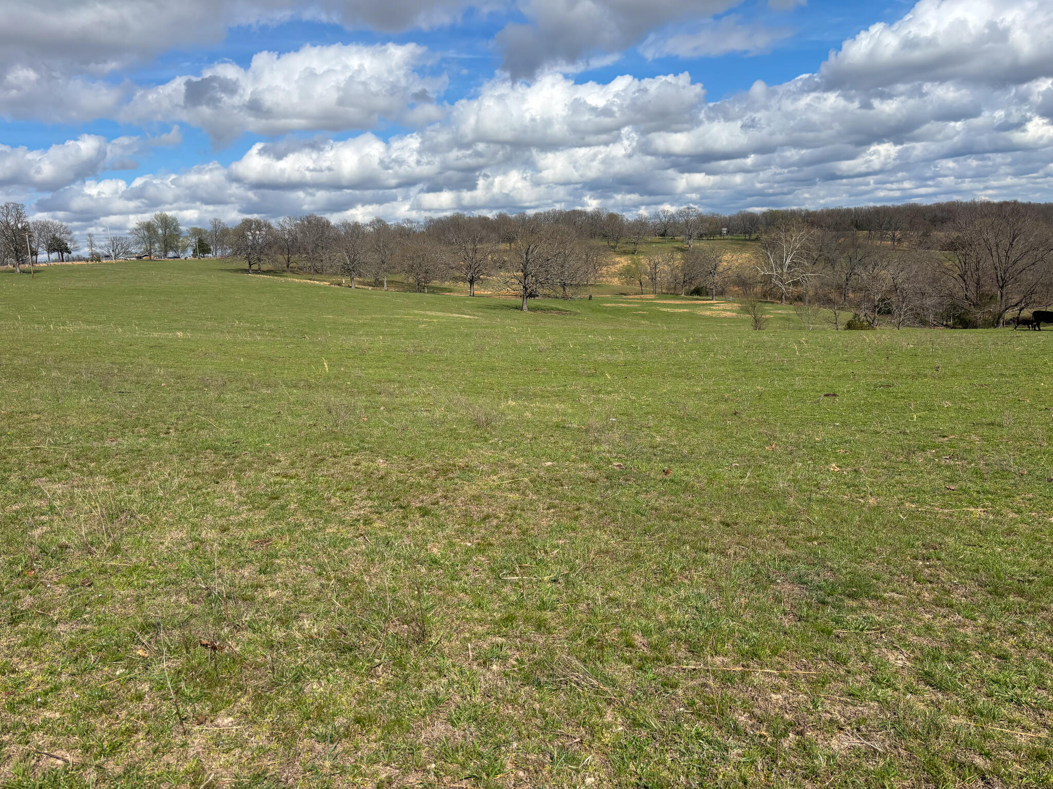 000 Highway 95 Property Photo 15