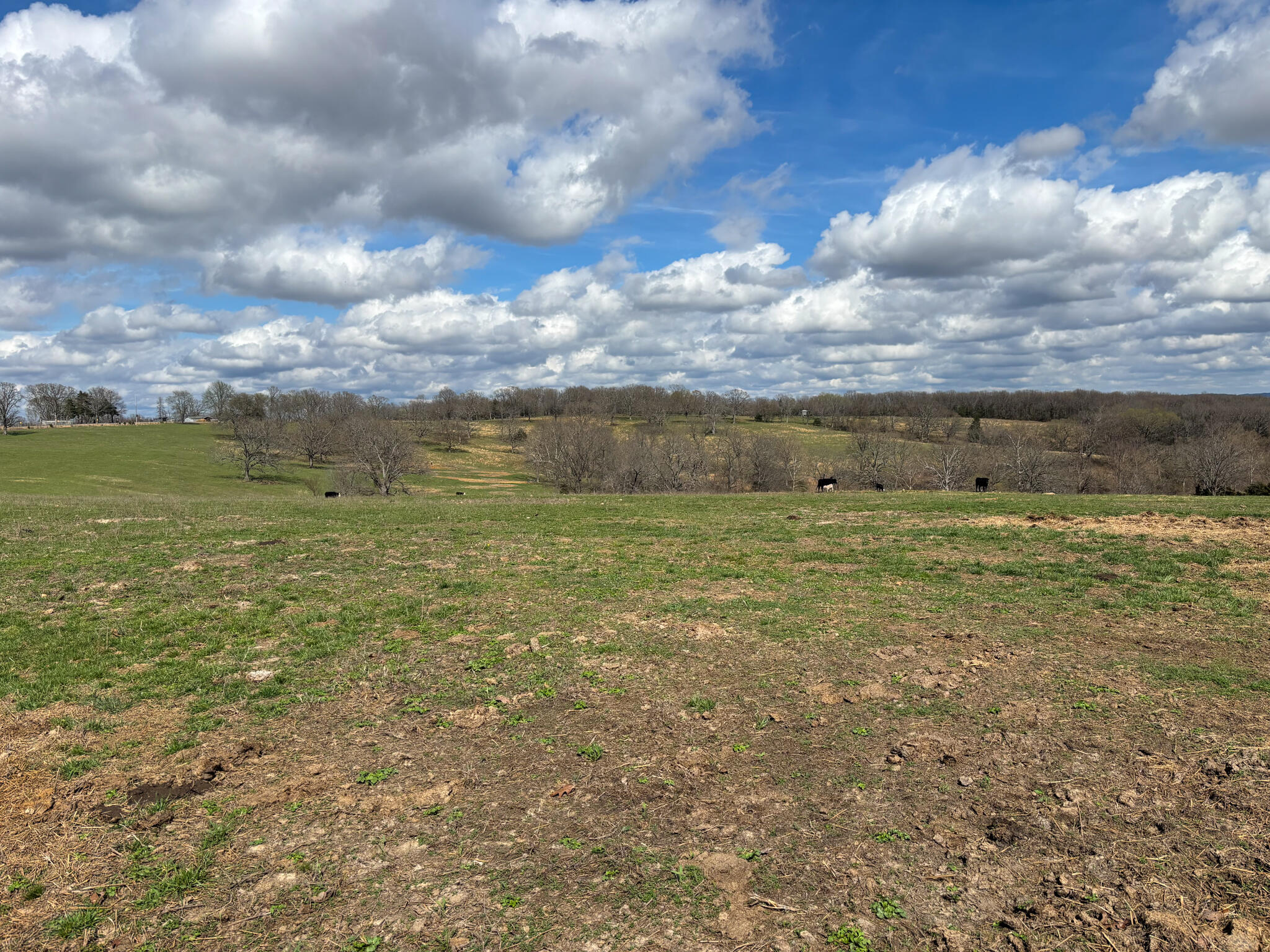 000 Highway 95 Property Photo 21