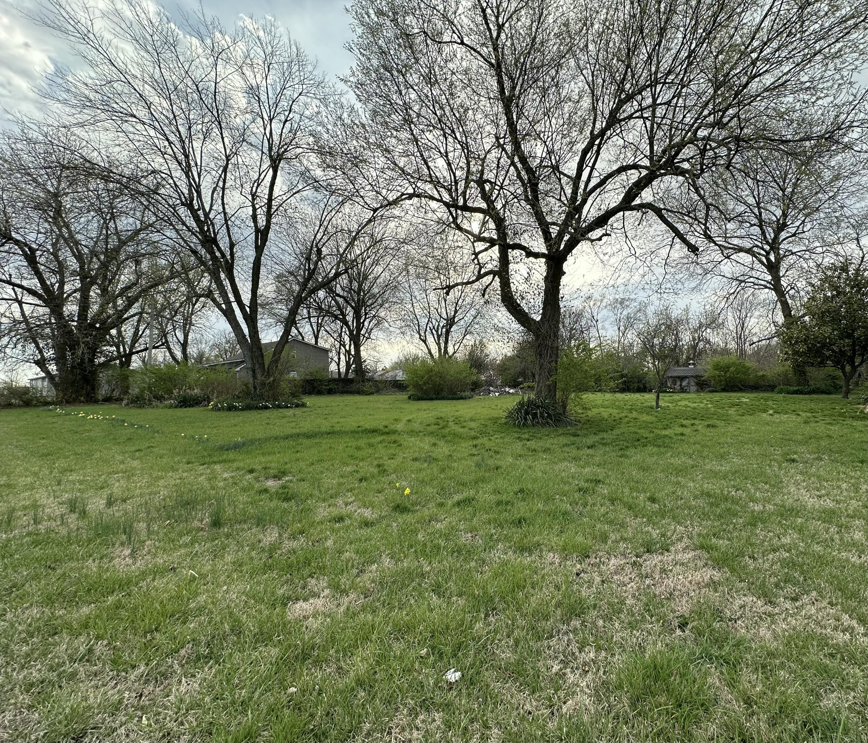 000 York North Lots 12 Property Photo 2