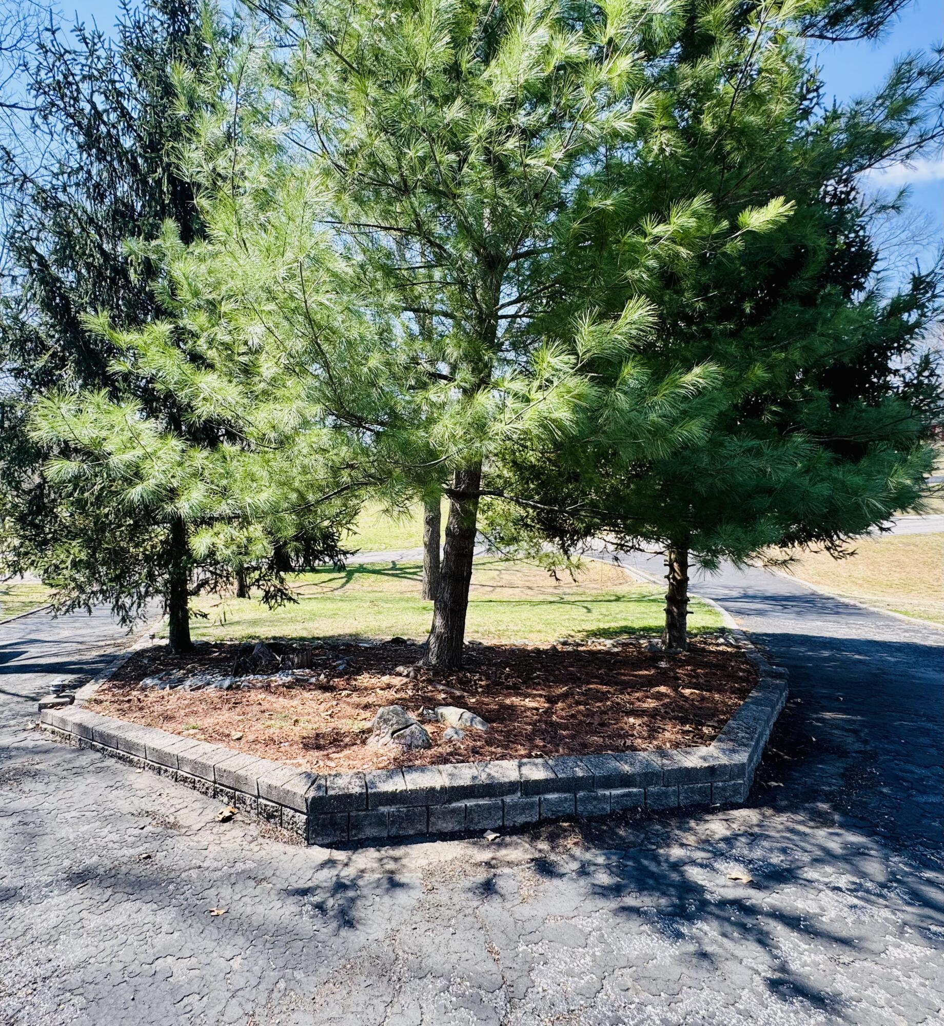 105 Oak Leaf Terrace Property Photo 11