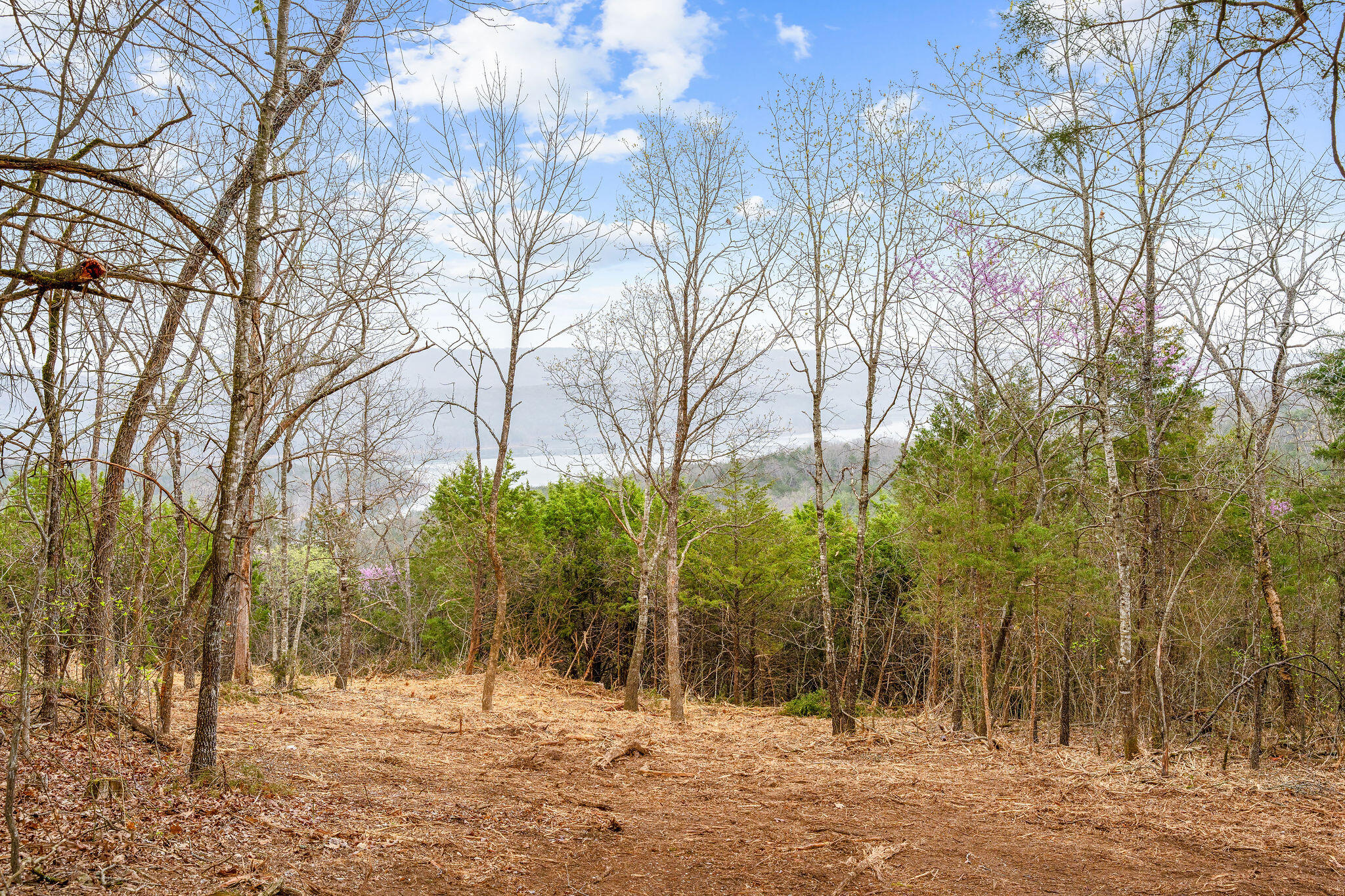 Tbd Tract1 Big Bay Road Property Photo 27