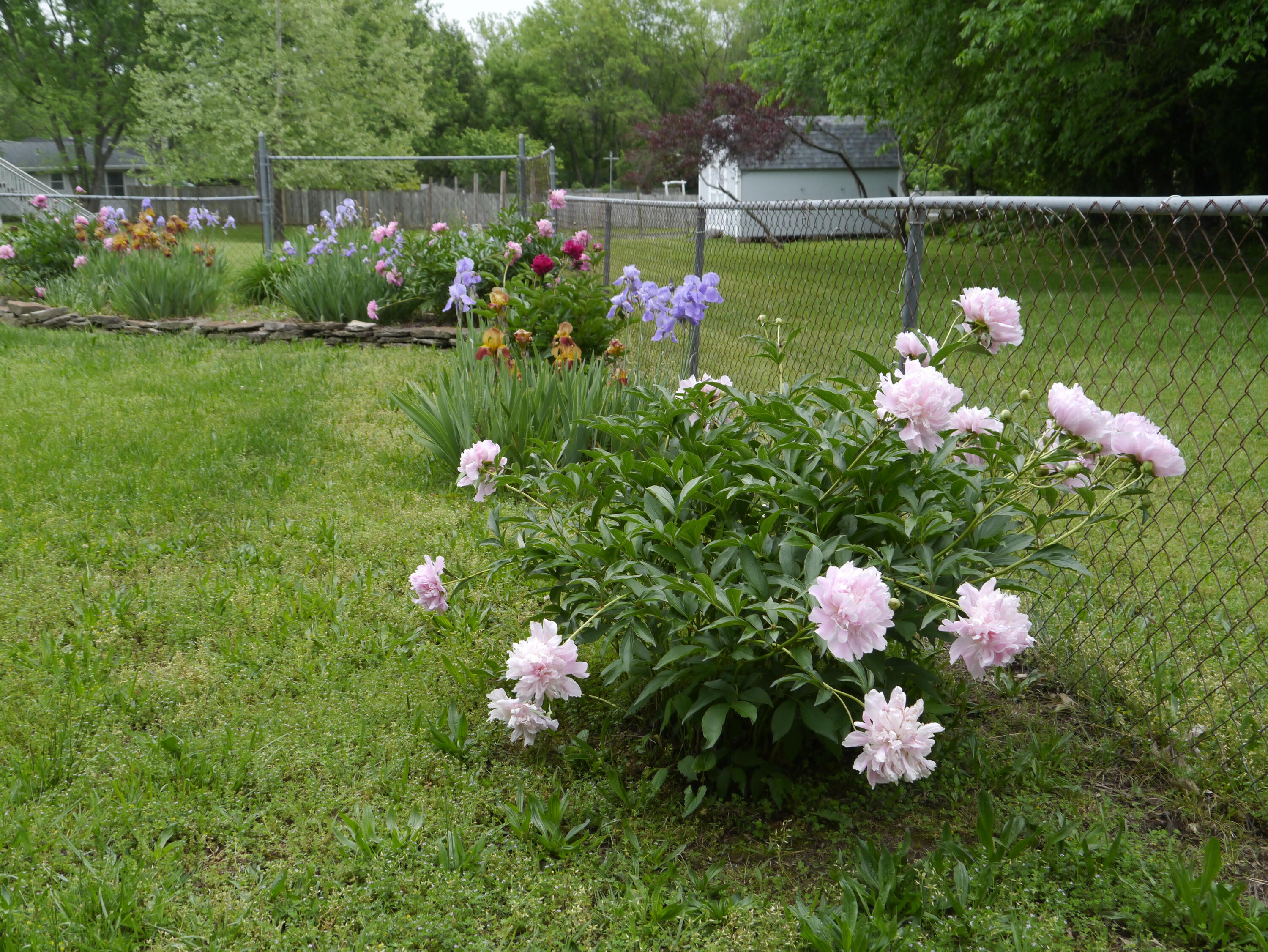 1204 West Northwood Street Property Photo 26