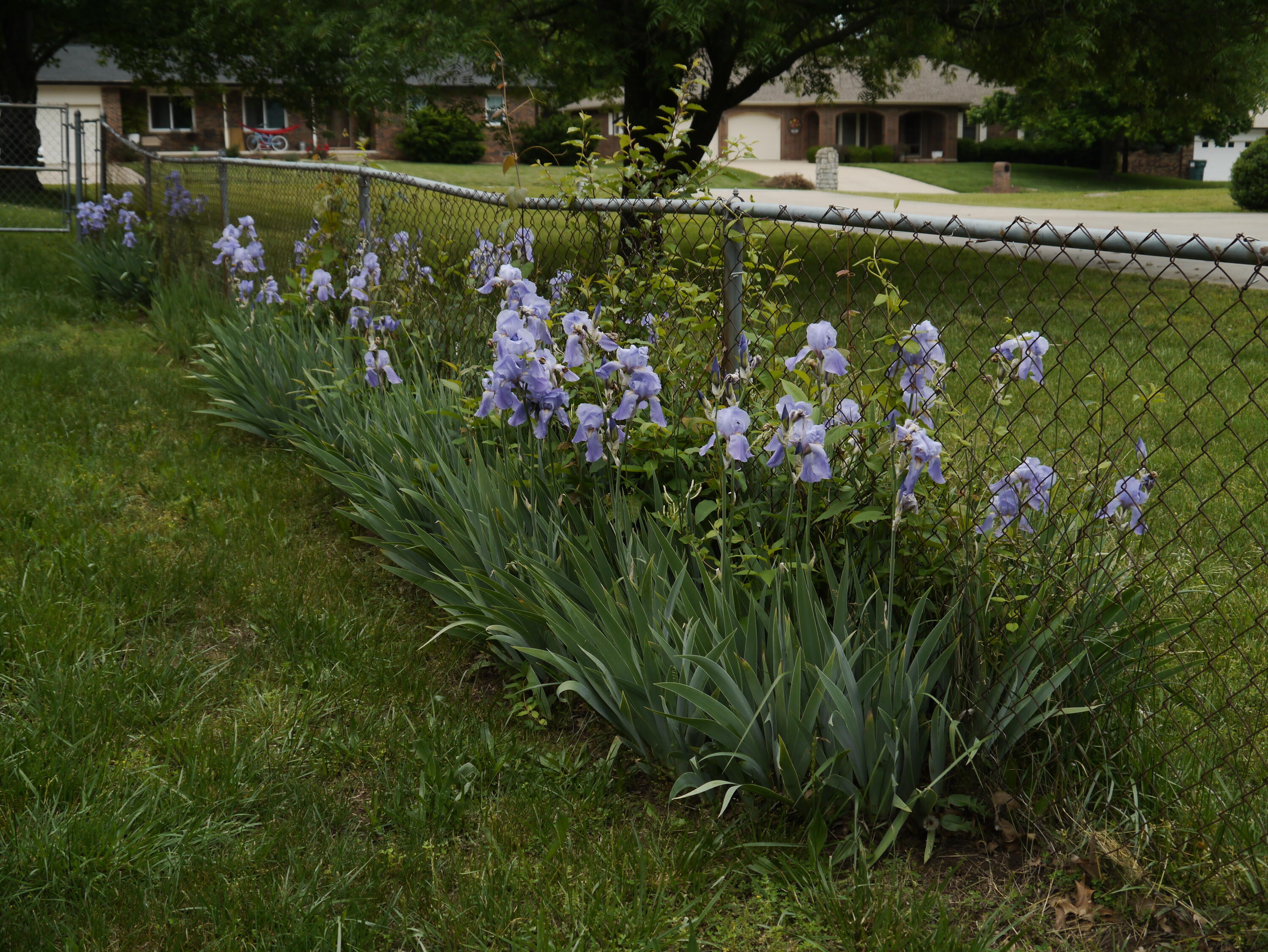 1204 West Northwood Street Property Photo 28