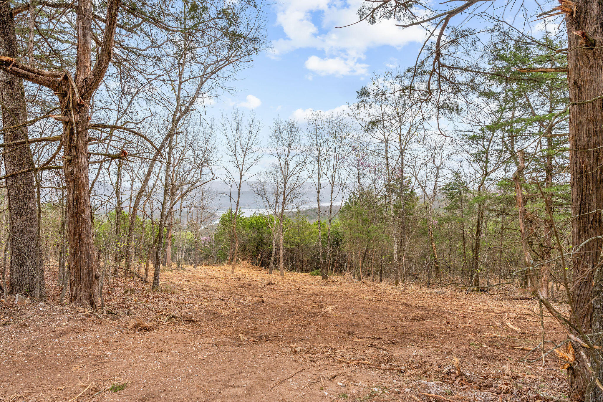 Tbd Tract2 Woodcliff Road/yy-1a Property Photo 7